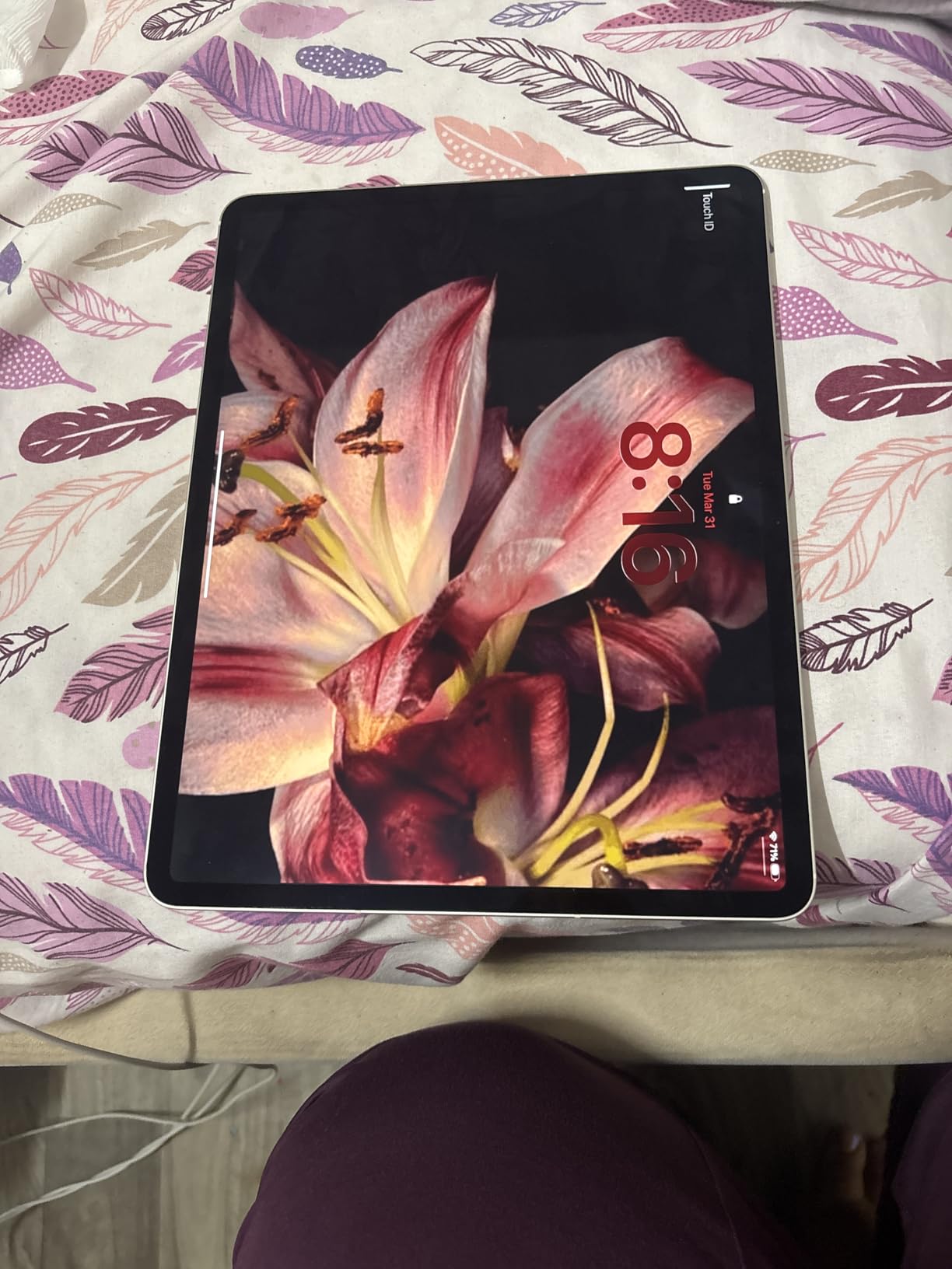 Apple 2024 iPad Air (11-inch, Wi-Fi + Cellular, 256GB) - Space Gray (Renewed) customer photo 1