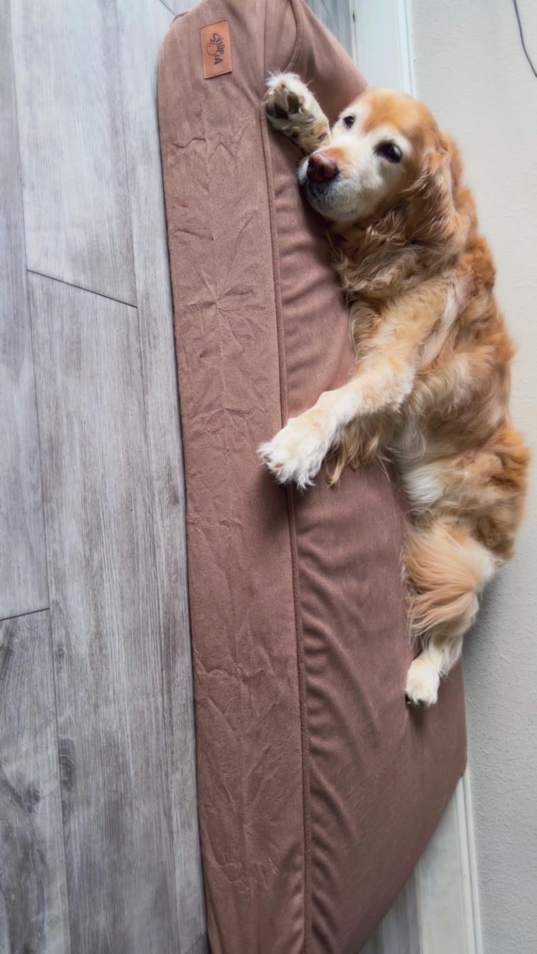 Sytopia XXL 35D Memory Foam Dog Bed for Extra Large Dogs - 7