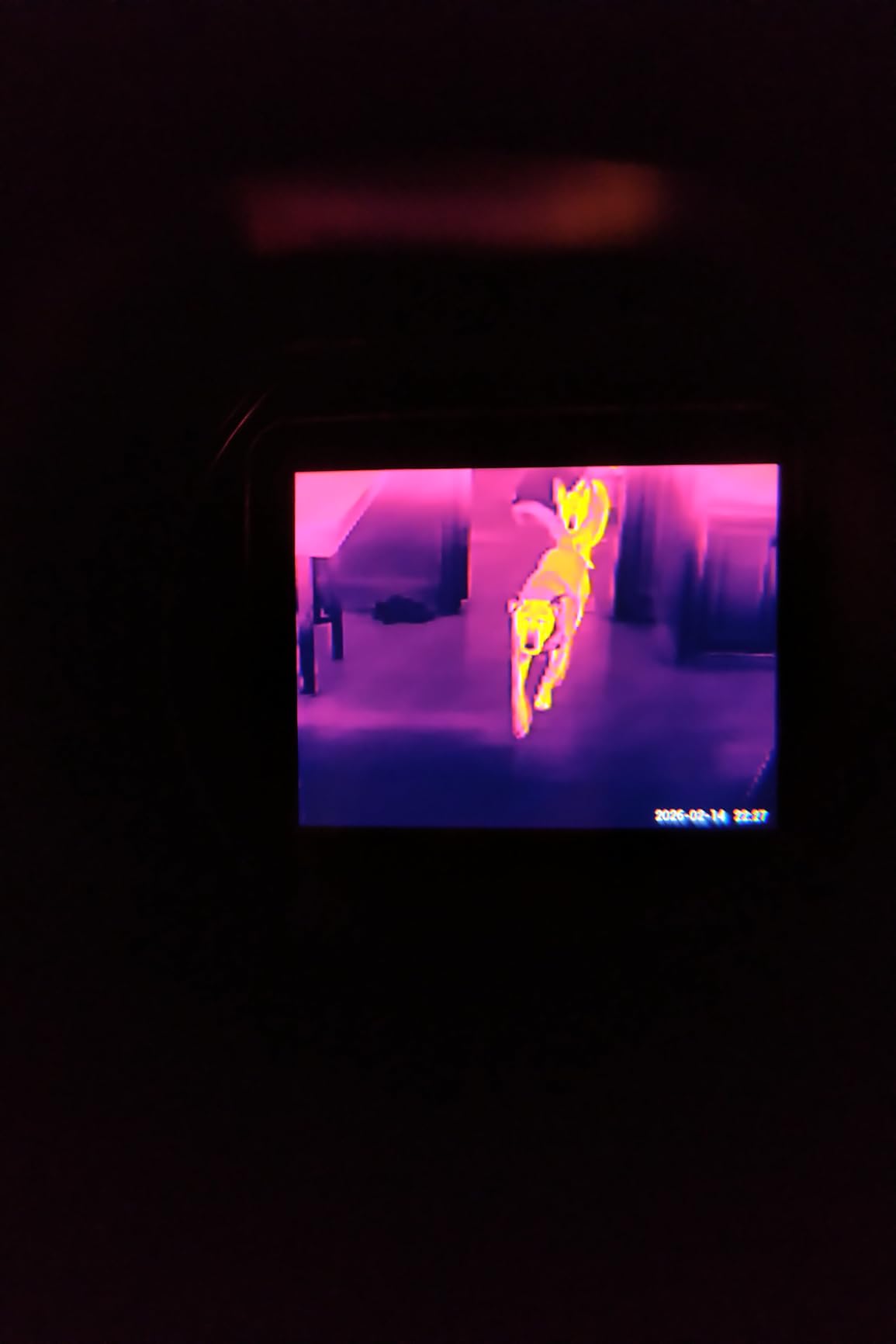 ATN BlazeSeeker-207 Thermal Imaging Monocular 256x192; 1-8.8X 12 Micron <35 NETD 50 Hz customer photo 1