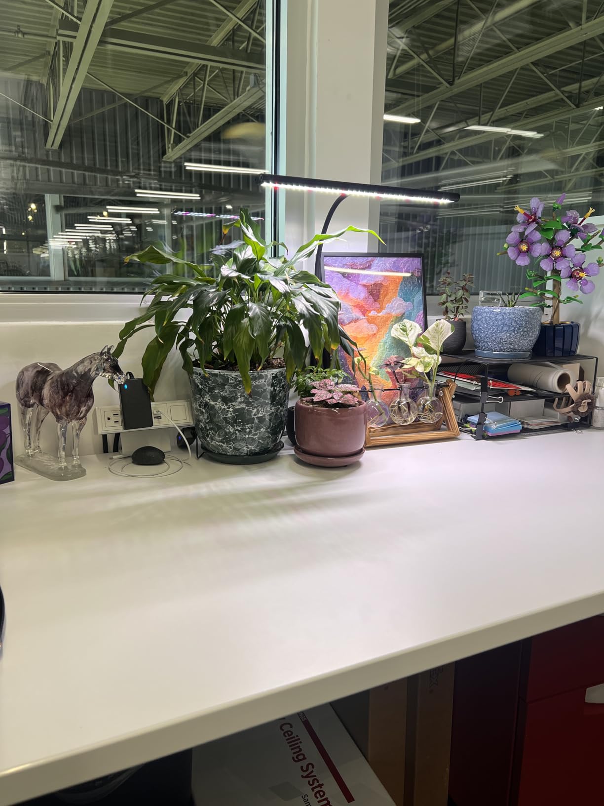 Super-Bright Grow Light for Indoor Plants, 6000K 108LEDs Full Spectrum Plant Lamp with Timer 4/8/12Hrs & Height Extendable for Home Office Desktop Plants, 12V 3A High Power Output for Faster Growth customer photo 1