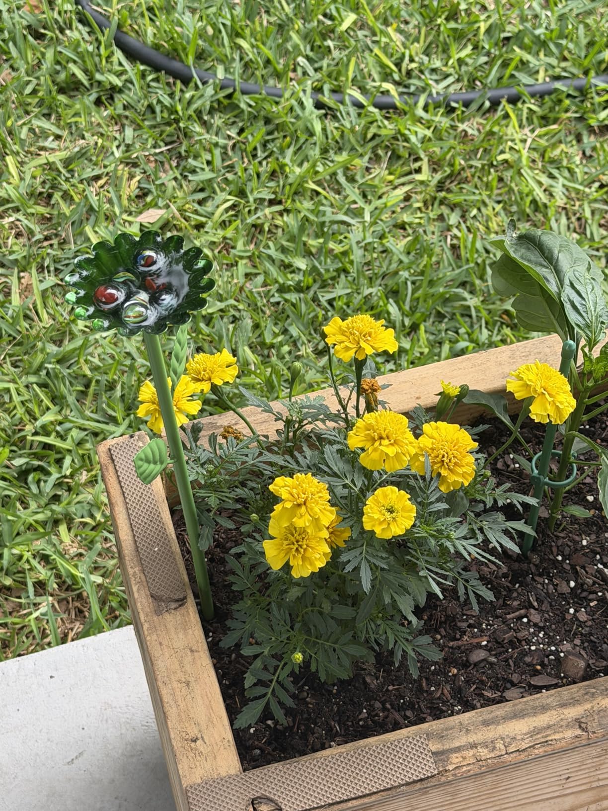 4 Pack Bee Watering Station, Bee Bath for Garden Metal Bee Water Feeder with Flower Design, Colorful Butterfly Bee Bath Bowl for Outdoor Garden Yard Decor (Red,Green,Blue,Yellow) customer photo 1