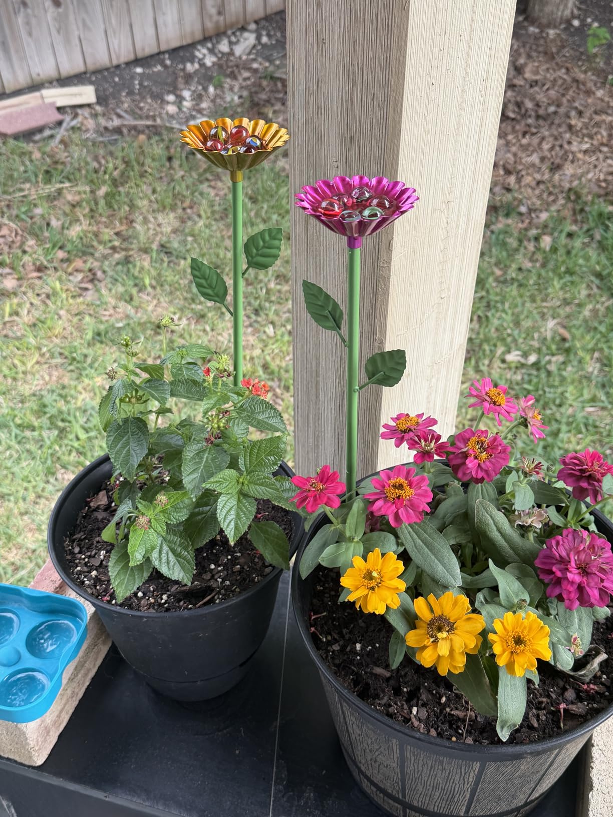 4 Pack Bee Watering Station, Bee Bath for Garden Metal Bee Water Feeder with Flower Design, Colorful Butterfly Bee Bath Bowl for Outdoor Garden Yard Decor (Red,Green,Blue,Yellow) customer photo 2