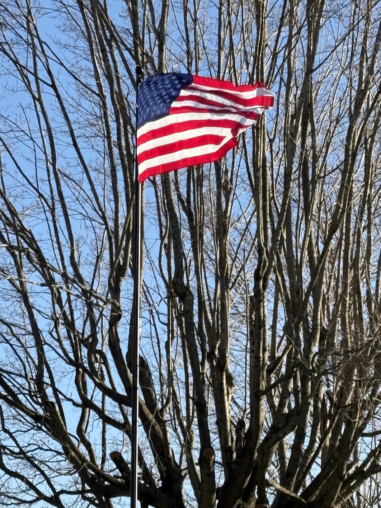 20FT Heavy Duty Flag Pole, 12-Gauge Aluminum, 100MPH Wind Tested | Extra Thick Residential & Commercial Flagpole Kit for Outside House - Includes USA Flag & All Hardware to Fly Two Flags customer photo 1