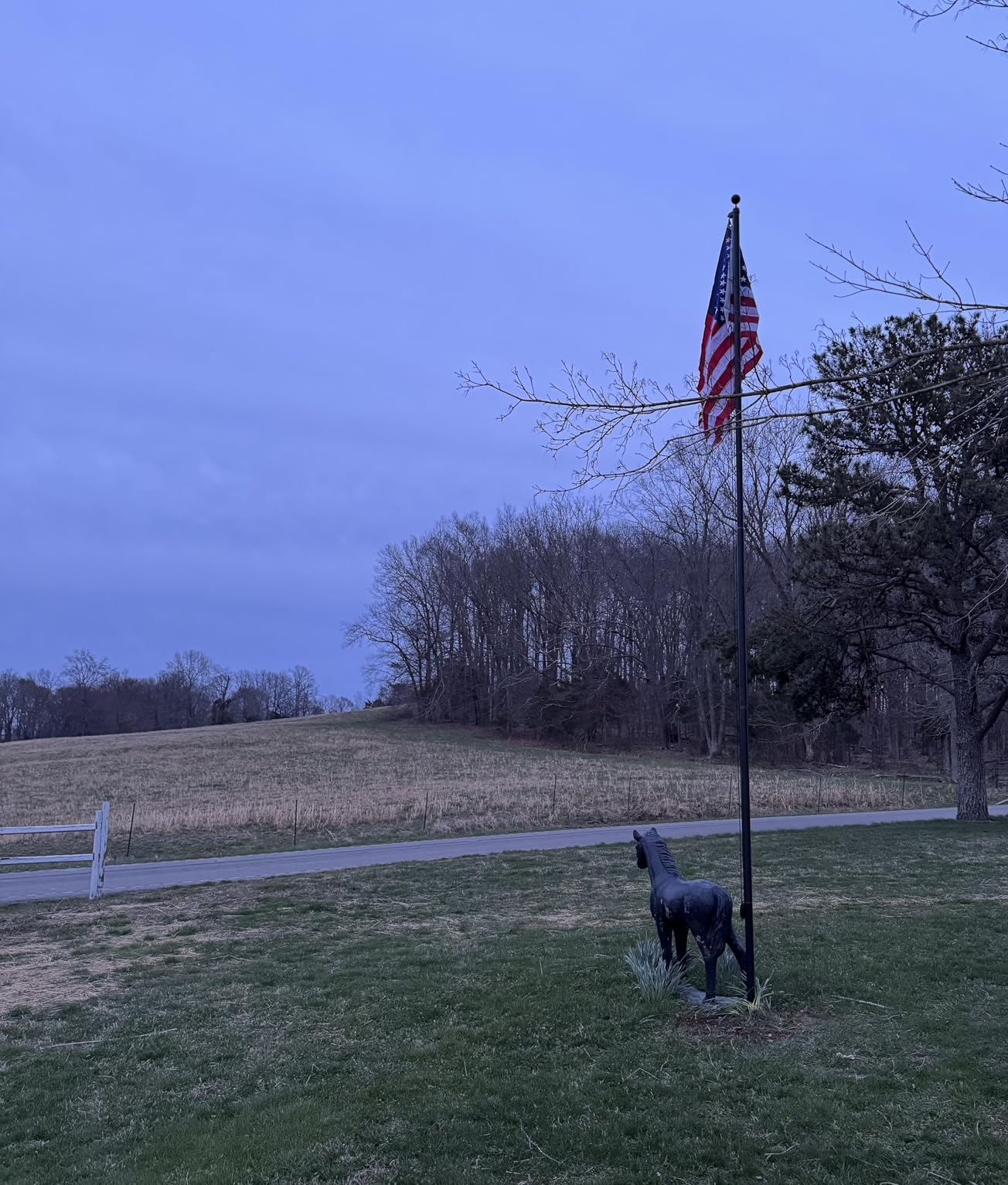 20FT Heavy Duty Flag Pole, 12-Gauge Aluminum, 100MPH Wind Tested | Extra Thick Residential & Commercial Flagpole Kit for Outside House - Includes USA Flag & All Hardware to Fly Two Flags customer photo 2