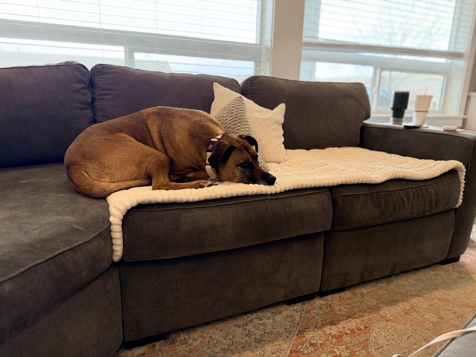 Awjcsv Couch Cover for Dogs Washable, Fuzzy Pet Couch Covers for 3 Cushion Sofa Pet Friendly, Non Slip Sofa Cover (White, 27.6