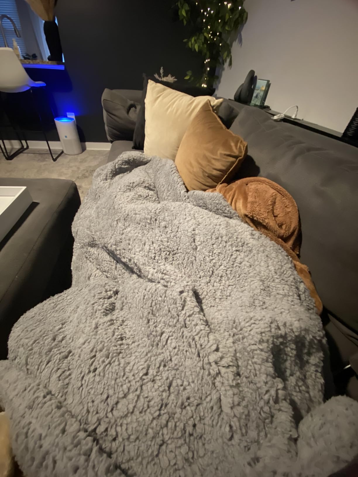 SNUGSUN Electric Heated Blanket King Size with Dual Control, Soft and Cozy Thickened Flannel and Sherpa Electric Blanket for Bed, 6 Heating Levels & 10 Hours Auto-Off, 100
