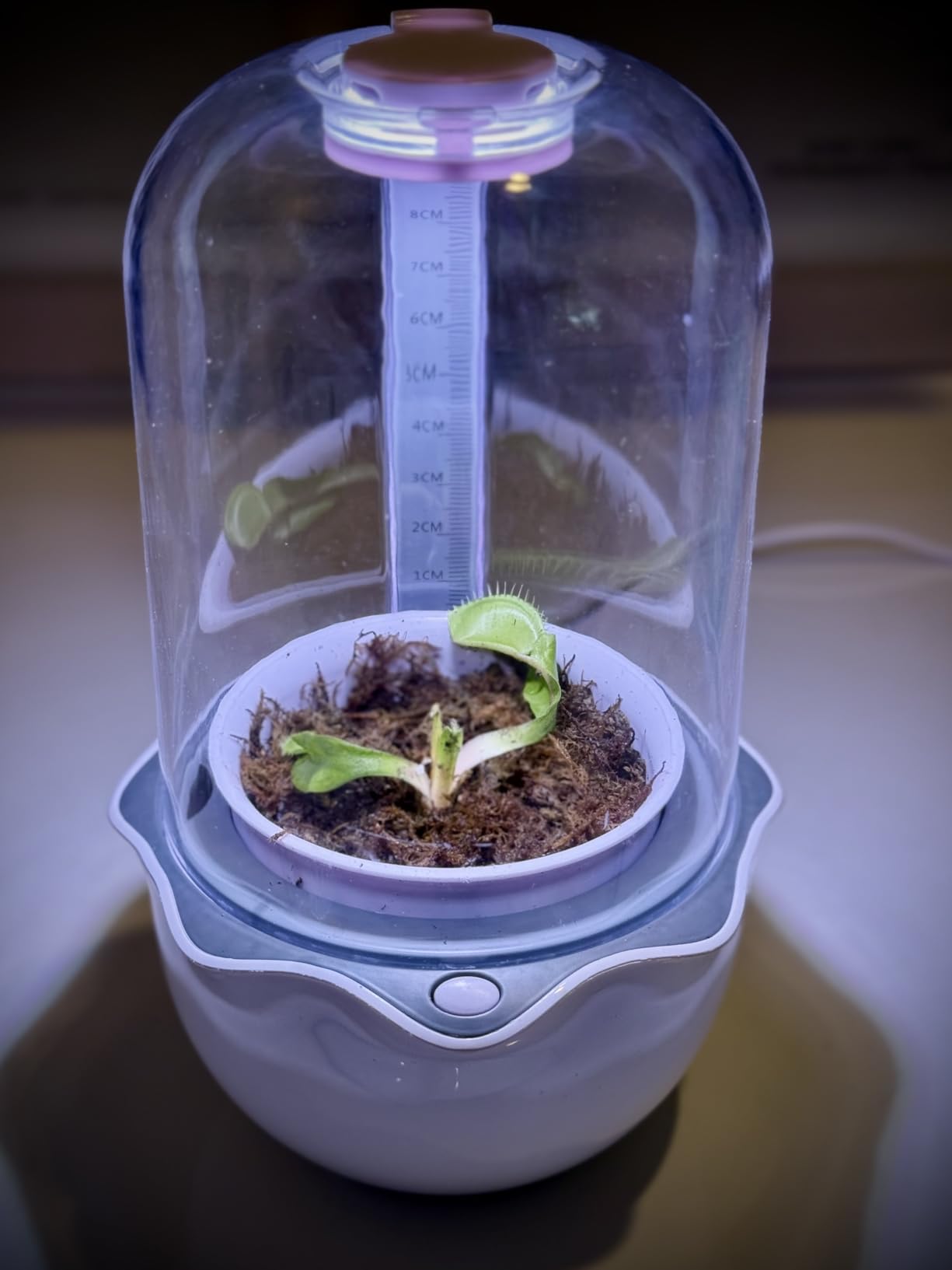 Smart Venus Fly Trap Terrarium Pot with Timer & Fan, Plant Terrarium Kit with Grow Light for Carnivorous, Butterwort, Venus Flytrap, Birthday Gardening for Women Garden Lover-No Plant customer photo 1