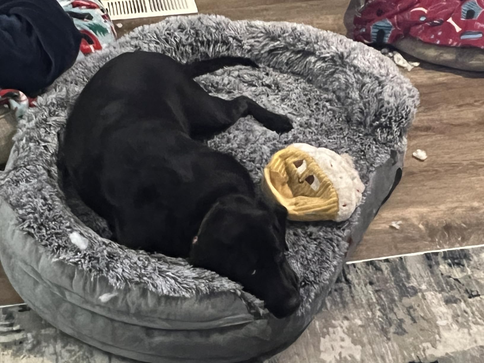 Fluffy 3.7 inch Thickened Orthopedic Dog Beds for Extra Large Dogs, Supportive Dog Sofa Bed with 28D Egg-Crate Foam, Removable Washable Cover, Waterproof Lining, Cozy Oval Design, Grey customer photo 2