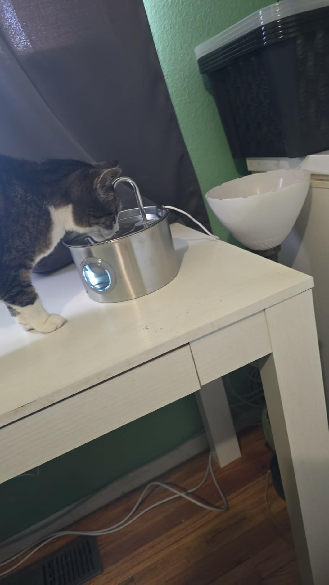 Cat Water Fountain Stainless Steel: 74oz/2.2L Cat Fountain for Drinking - Pet Water Fountain for Cats Inside - Quiet Cats Water Bowl Dispenser - Kitty Drinking Fountains - for Pets& Small Animals customer photo 2