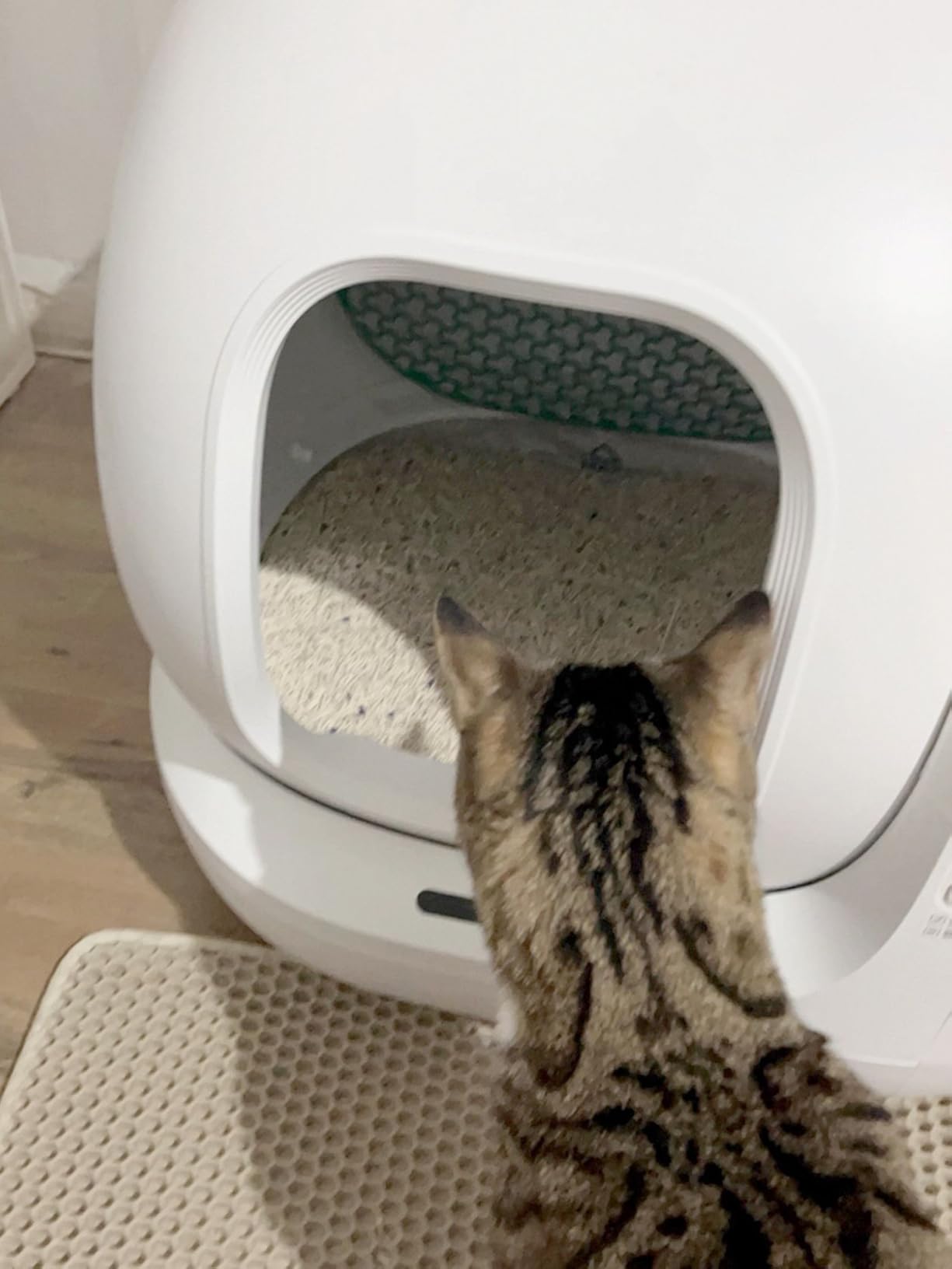PETKIT PuraMax 2 Automatic Self-Cleaning Cat Litter Box, App Control Automatic Litter Box with Safety Sensors, Odor Free & Anti-Leakage Basic Bundle Includes Trash Bags, 2.4G WiFi & Low Entrance customer photo 2