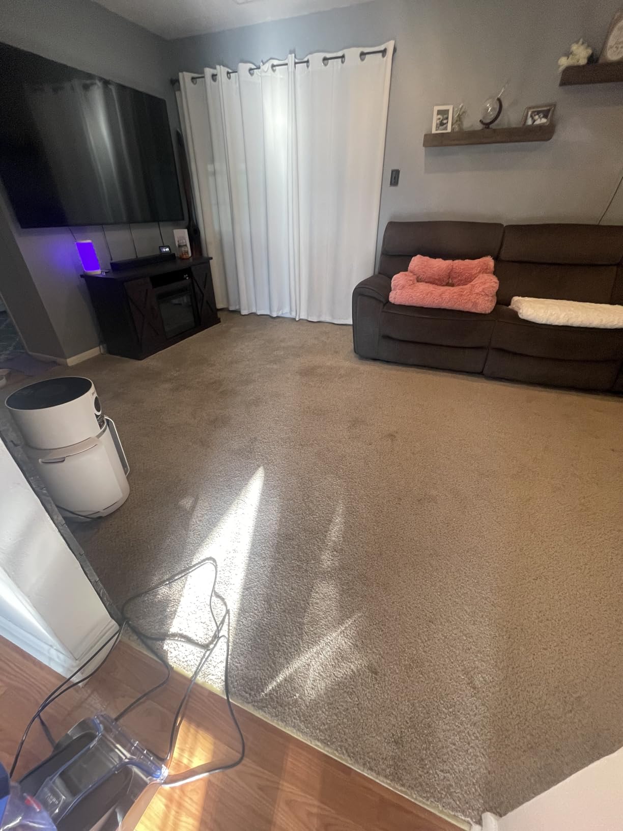 BISSELL TurboClean, Upright Carpet Cleaner, Pro Max Clean & Protect + Oxy Urine Eliminator Formula Included, 3952 customer photo 1