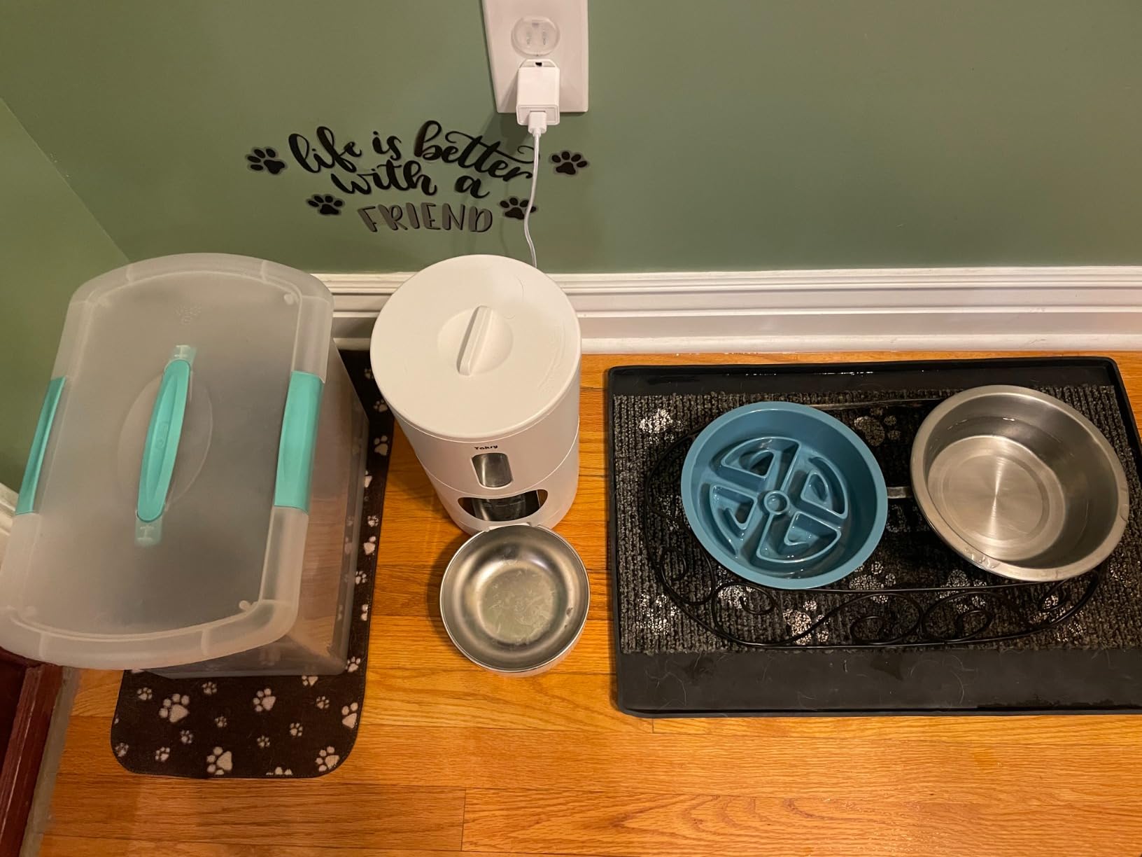 Automatic Dog Feeder with Camera WiFi: 33 Cups 5G App Control Easy Setup Cat Food Dispenser - HD 1080P Video Recording Timed Pet Feeder for Cat Dog Small-Pet customer photo 1