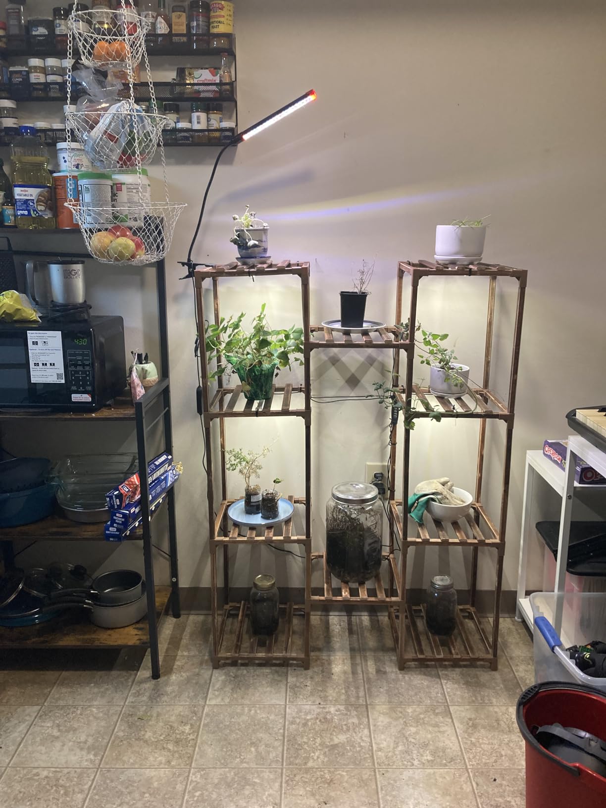 Bamworld Plant Stand with Grow Light Plant Shelf for Mutiple Pots Large Plant Holder for Living Room Patio Boho Home Decor for Gardening Warm Light customer photo 1