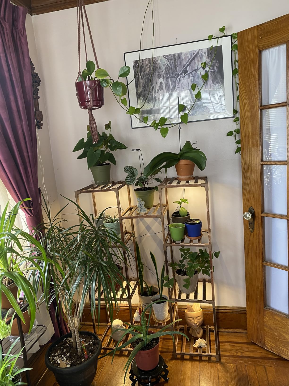 Bamworld Plant Stand with Grow Light Plant Shelf for Mutiple Pots Large Plant Holder for Living Room Patio Boho Home Decor for Gardening Warm Light customer photo 2