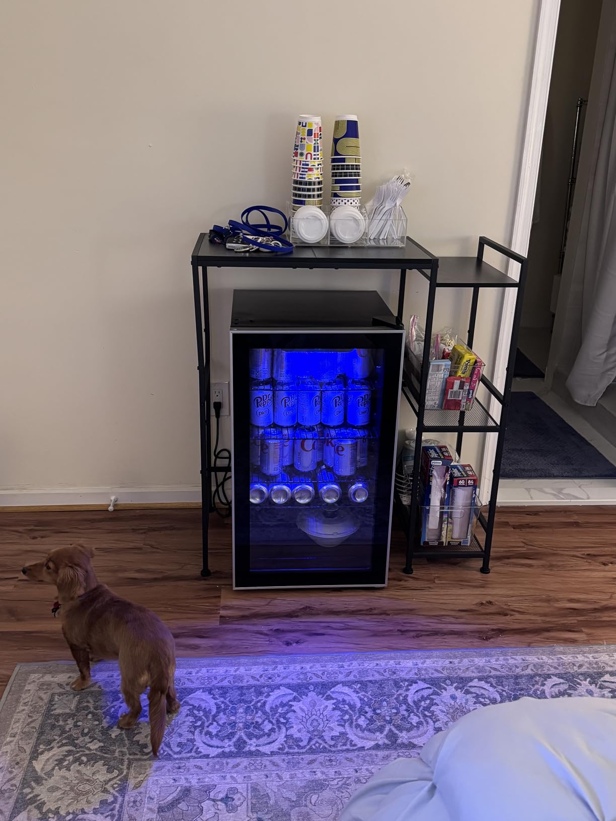 Electactic Mini Fridge 130 Can Beverage Refrigerator Cooler, 3.2 Cu.Ft Drink Fridge for Soda Wine Beer, Adjustable Temperature Control for Home Office, Black customer photo 1