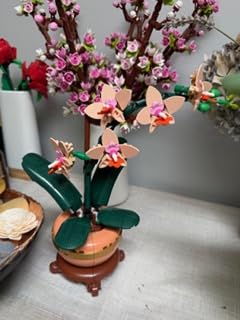 LEGO Botanicals Mini Orchid Building Set - Artificial, Fake Orchid for Home Decor, Adults Ages 18+ - Gift for Mothers Day - Indoor Plant Decorations for Table, Desk, Office - 10343 customer photo 1