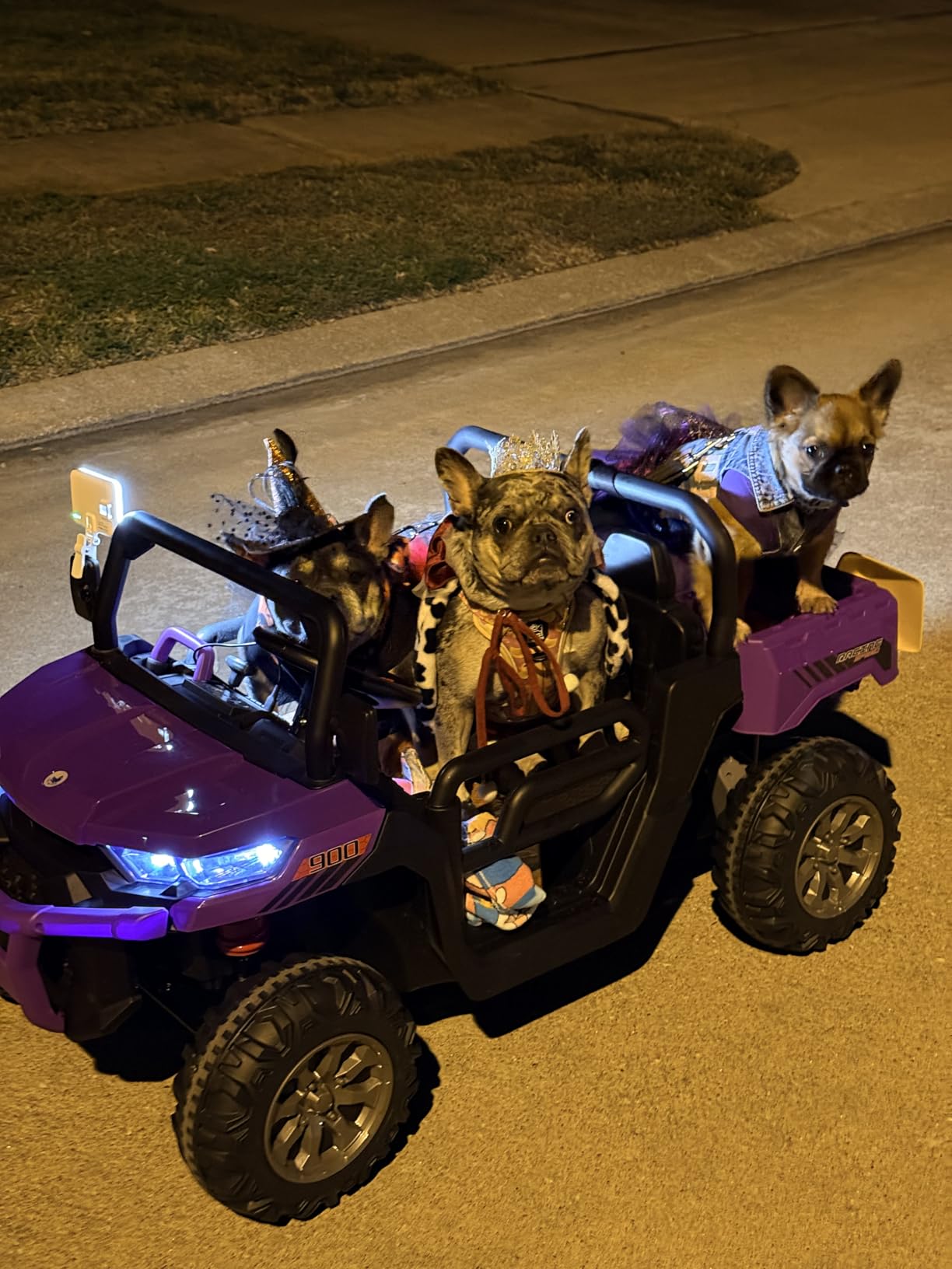 OLAKIDS 2 Seater Ride On Car, 12V Off-Road UTV Electric Vehicle with Remote Control, Dump Bed, Extra Shovel, Music, USB, AUX, Rocking Function (Azure) customer photo 2