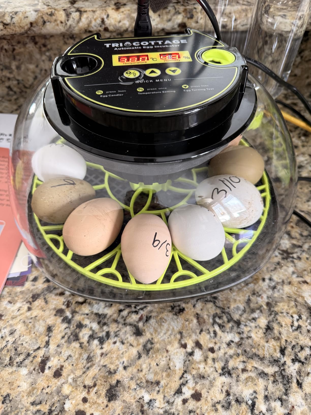 Incubators for Hatching Eggs 12 Egg Incubator with Automatic Egg Turning and Humidity Control,Egg Candler,Auto Water Replenishment,for Chicken Eggs and Quail Egg M12H customer photo 1