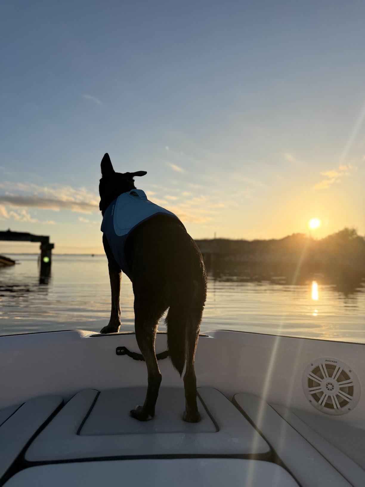 Ruffwear Float Coat Dog Life Jacket, Premium Buoyancy Swim Vest with Lift Handle, Secure Fit & Reflective Trim, Adjustable Flotation for Swimming, Boating, & Outdoor Adventures, Deep Blue, X-Small customer photo 2