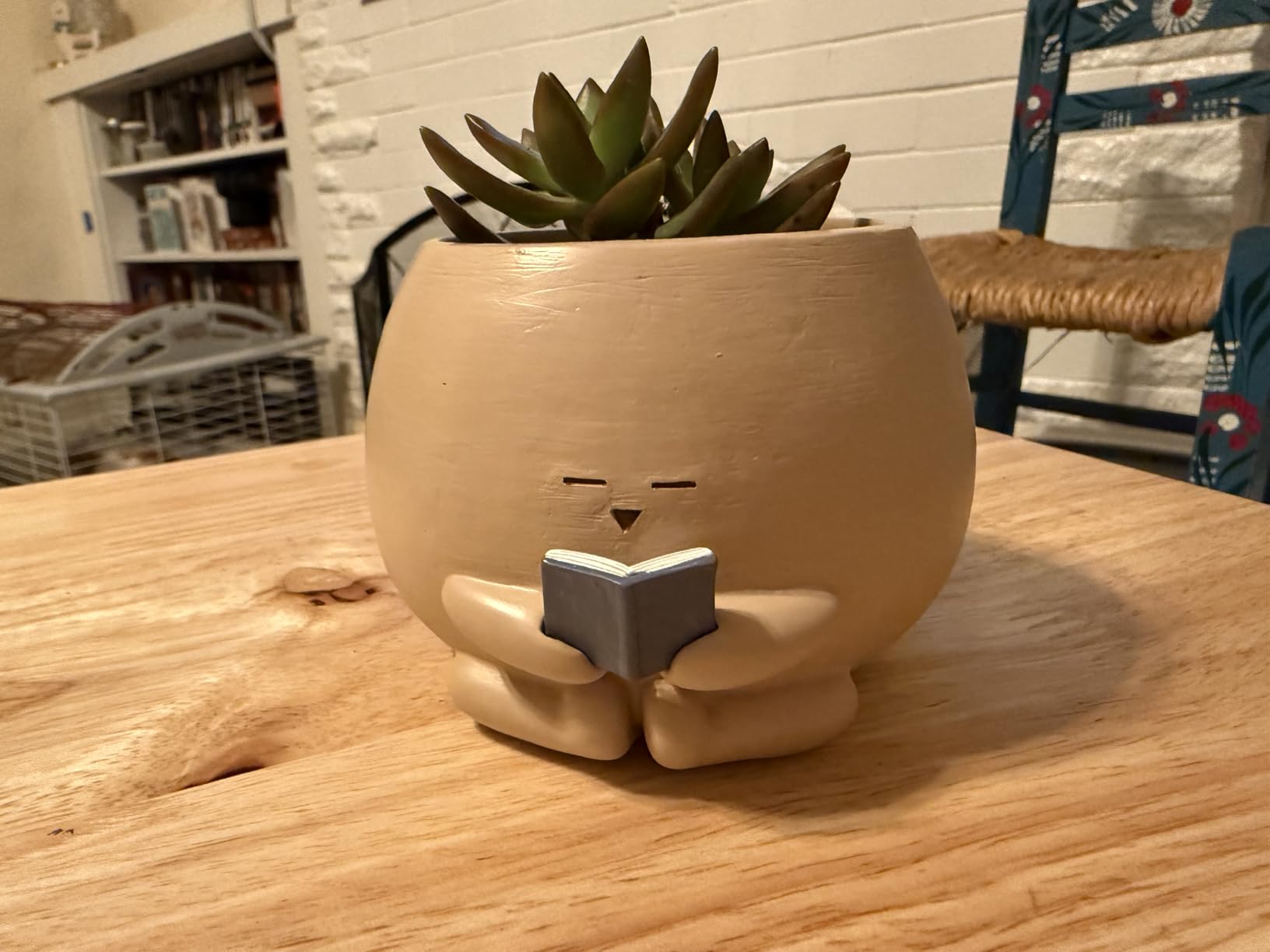 Bookworm Planter Pot - Cute Plant Pots for Succulents with Thank You Sign & Card, Small Reading Planter for Indoor Outdoor Decor, Succulent Gifts for Book Lovers, Teacher Dad Mom Appreciation customer photo 1