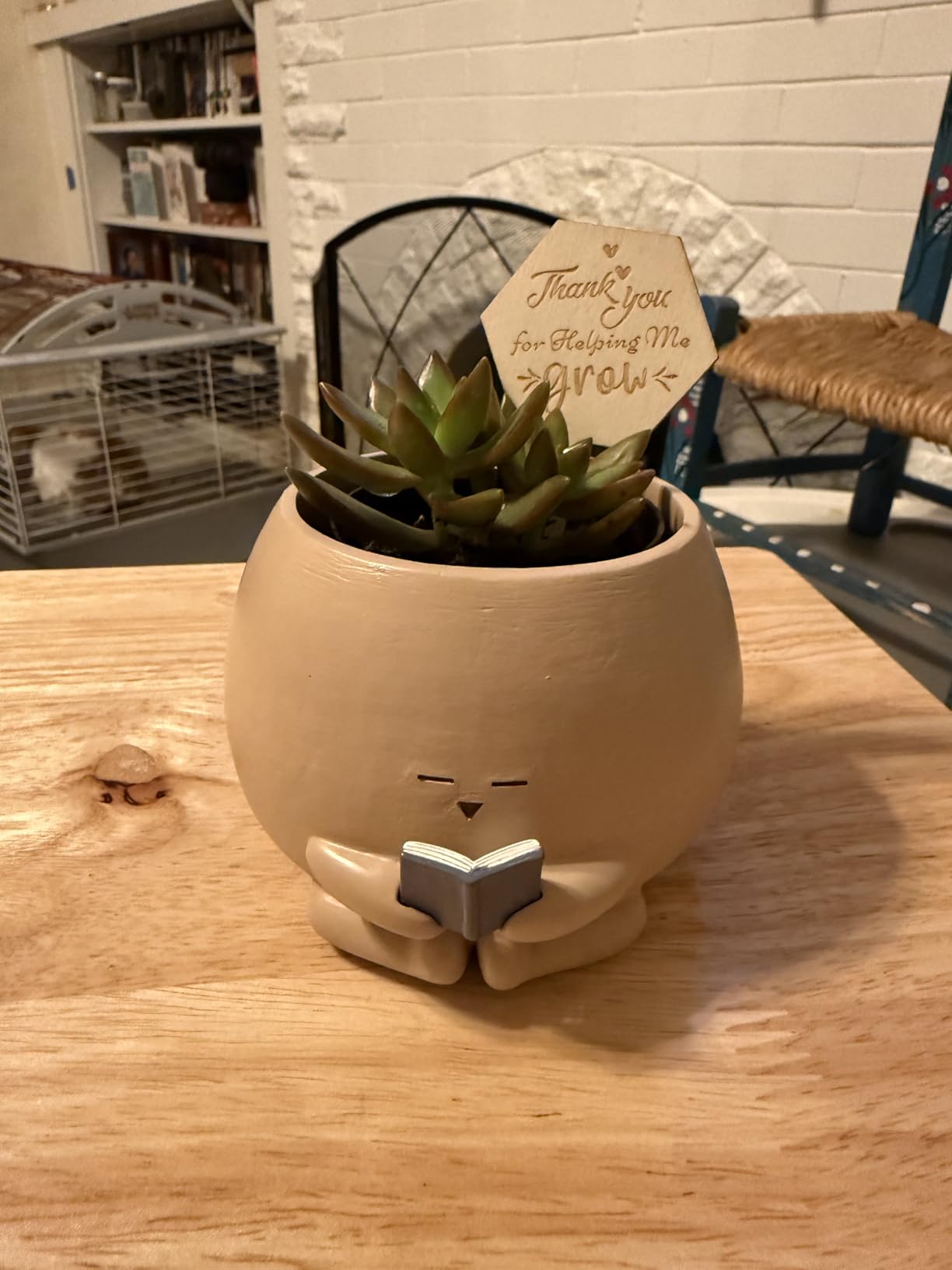 Bookworm Planter Pot - Cute Plant Pots for Succulents with Thank You Sign & Card, Small Reading Planter for Indoor Outdoor Decor, Succulent Gifts for Book Lovers, Teacher Dad Mom Appreciation customer photo 2