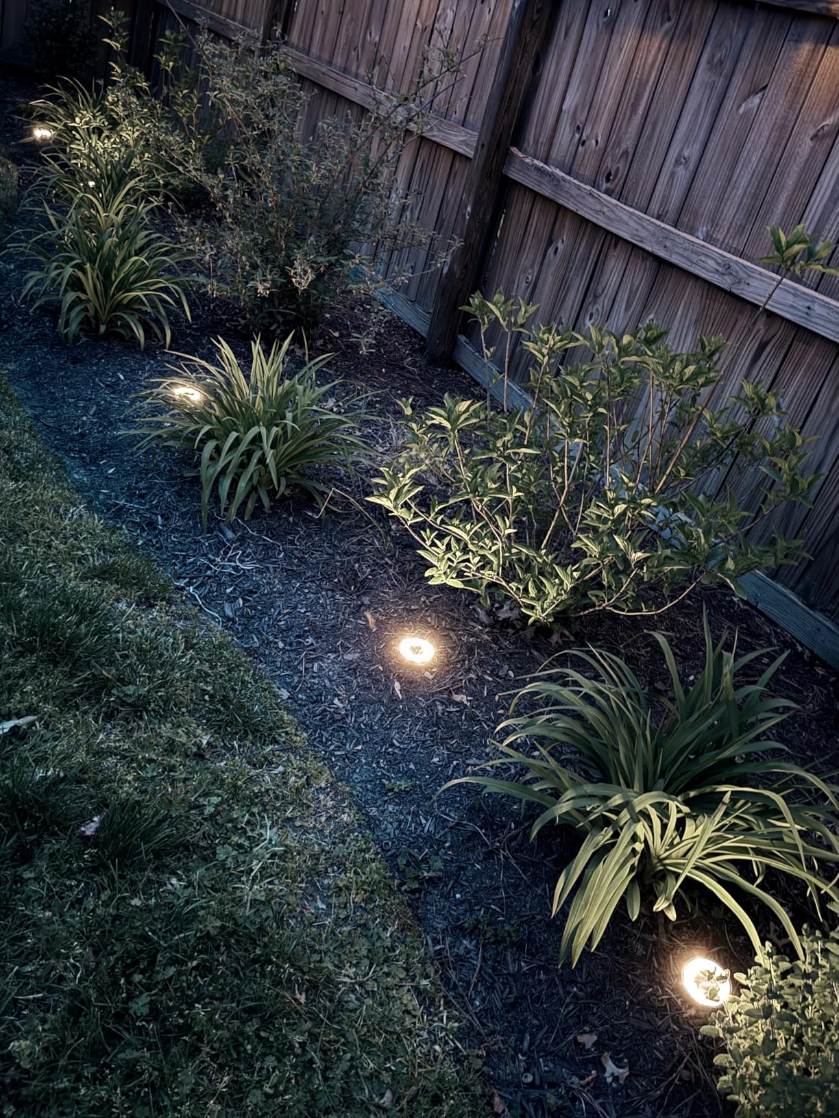 SOLPEX 10 Pack Solar Ground Lights Outdoor Waterproof, Solar Powered Pathway Lights, Landscape Lighting for Garden Walkway Driveway Backyard Decor (Cool White) customer photo 2