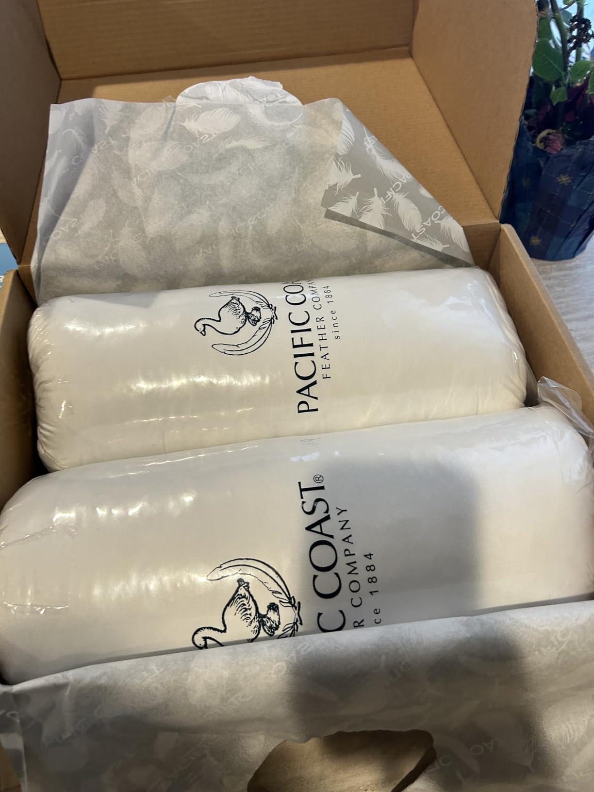 Pacific Coast Goose Feather and Down Bed Pillows Standard Size Set of 2, Hotel Pillow for Sleeping, Downproof, Soft, Fluffy, 100% Cotton Shell customer photo 2