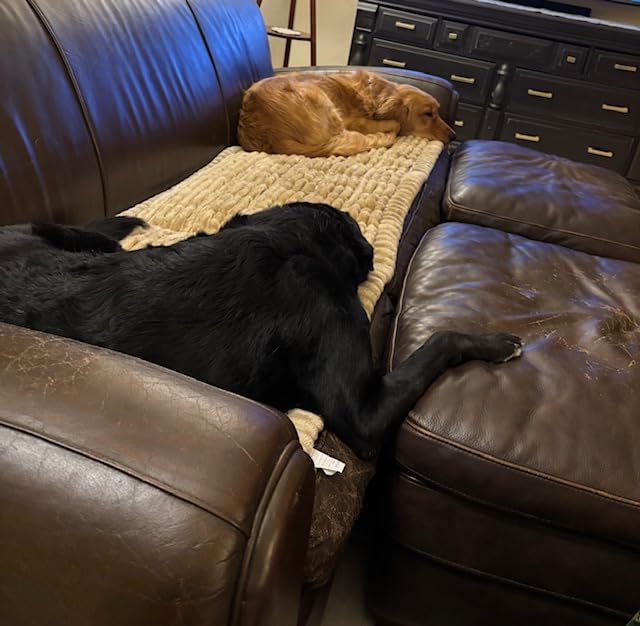 ZQFFB Pet Couch Cover Dogs Washable Non-Slip Couch Protector Pet Friendly Dog Mat for Couches and Sofas customer photo 2
