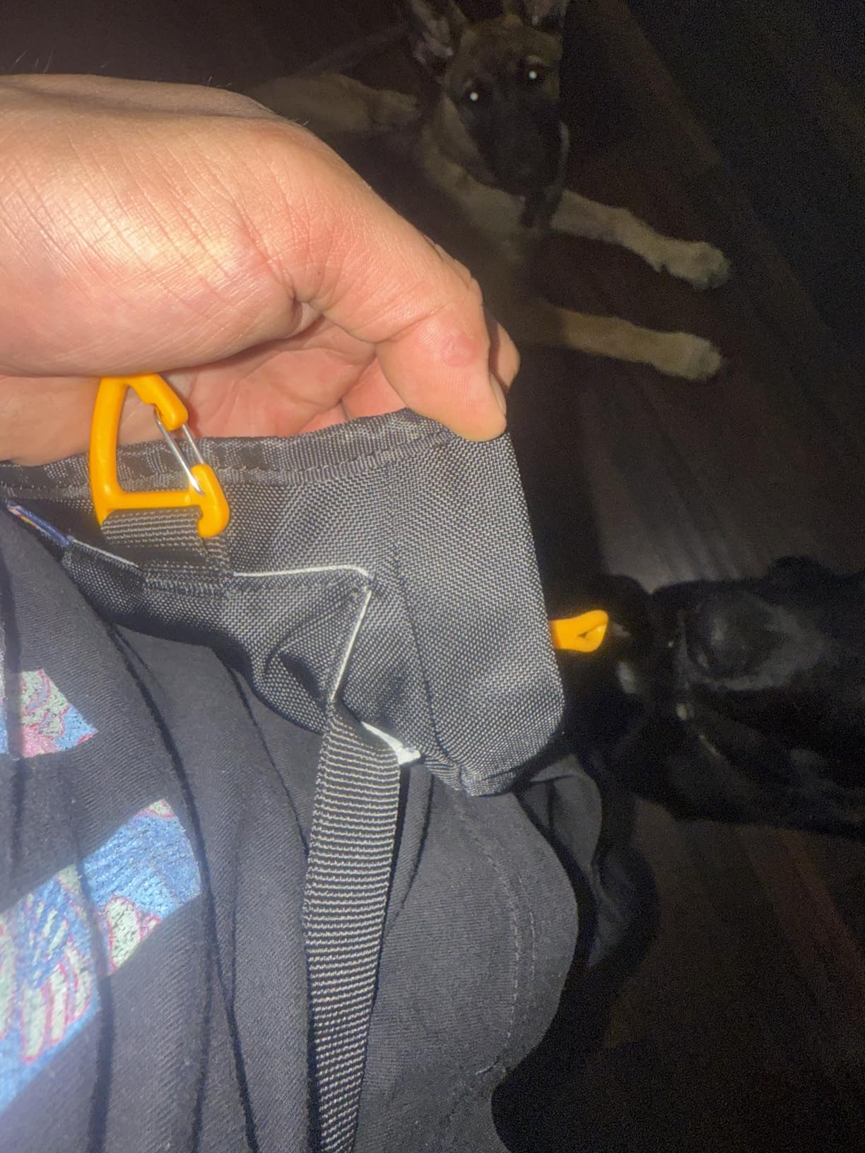 OllyDog Goodie Treat Bag, Dog Treat Pouch, Waist Belt Clip for Hands-Free Training, Magnetic Closure, Dog Training and Behavior Aids, Three Ways to Wear (Raven S'25) customer photo 1