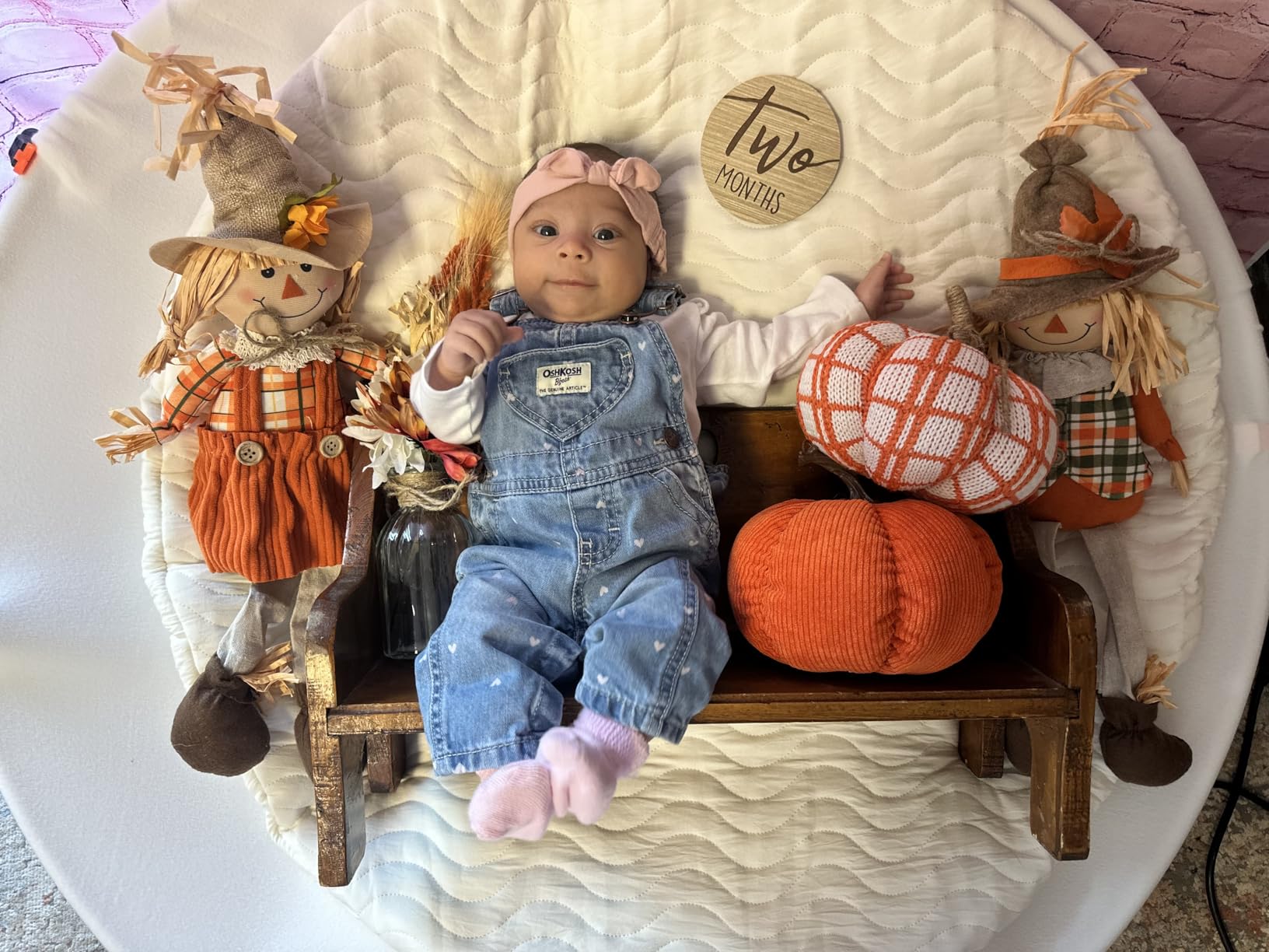 Kate Newborn Photography Props Stainless Steel Stand Set for Baby Photoshoot, Including Newborn Posing Beanbag Sleeve (Unfilled), Elastic Fabric and 6 Clamps customer photo 1