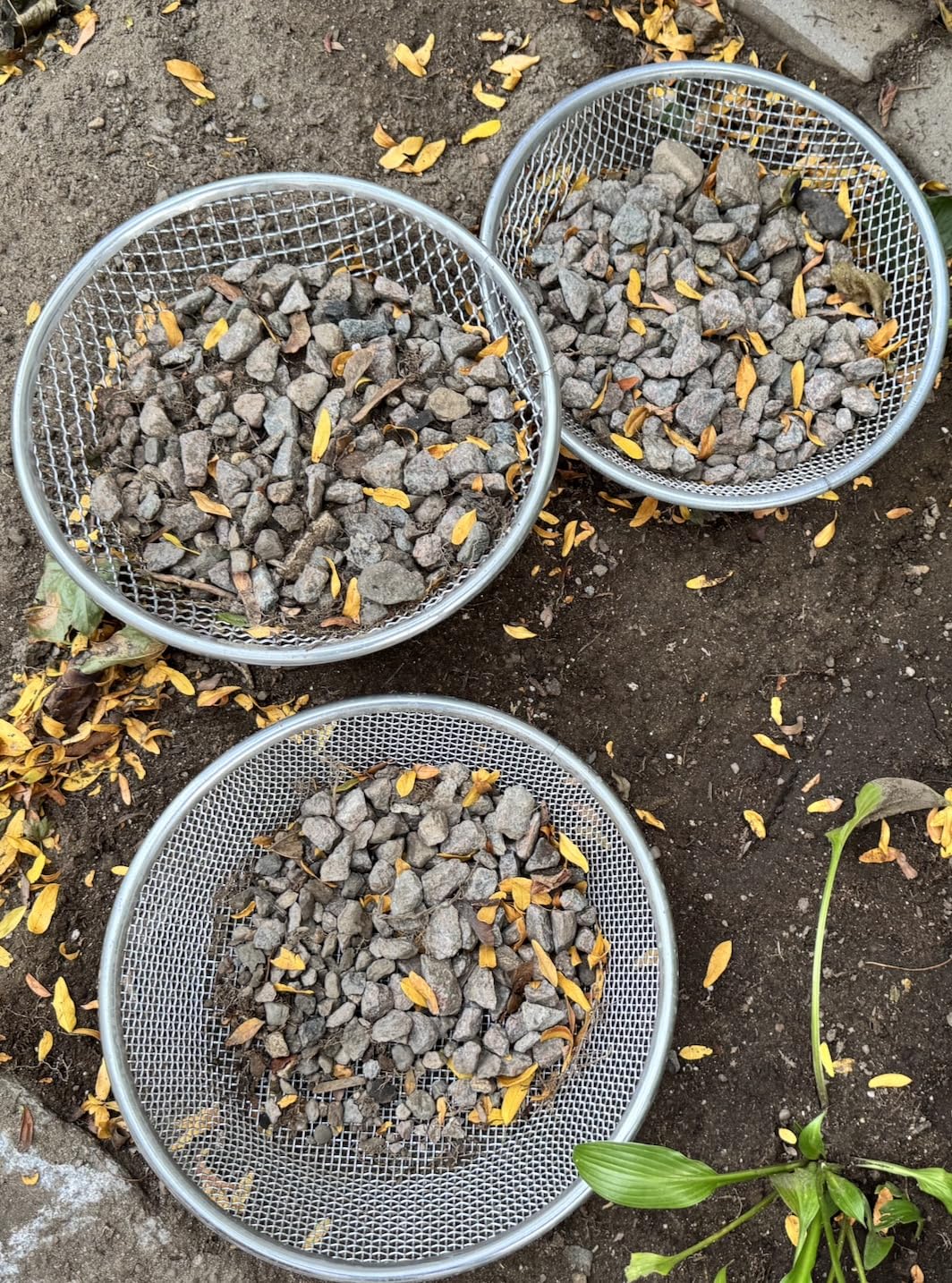3 PCS Soil Sieve for Garden - 12 inches Soil Sifter for Rocks Compost Suitable for 5 Gallon Drums 10mm, 6mm, 3mm customer photo 1