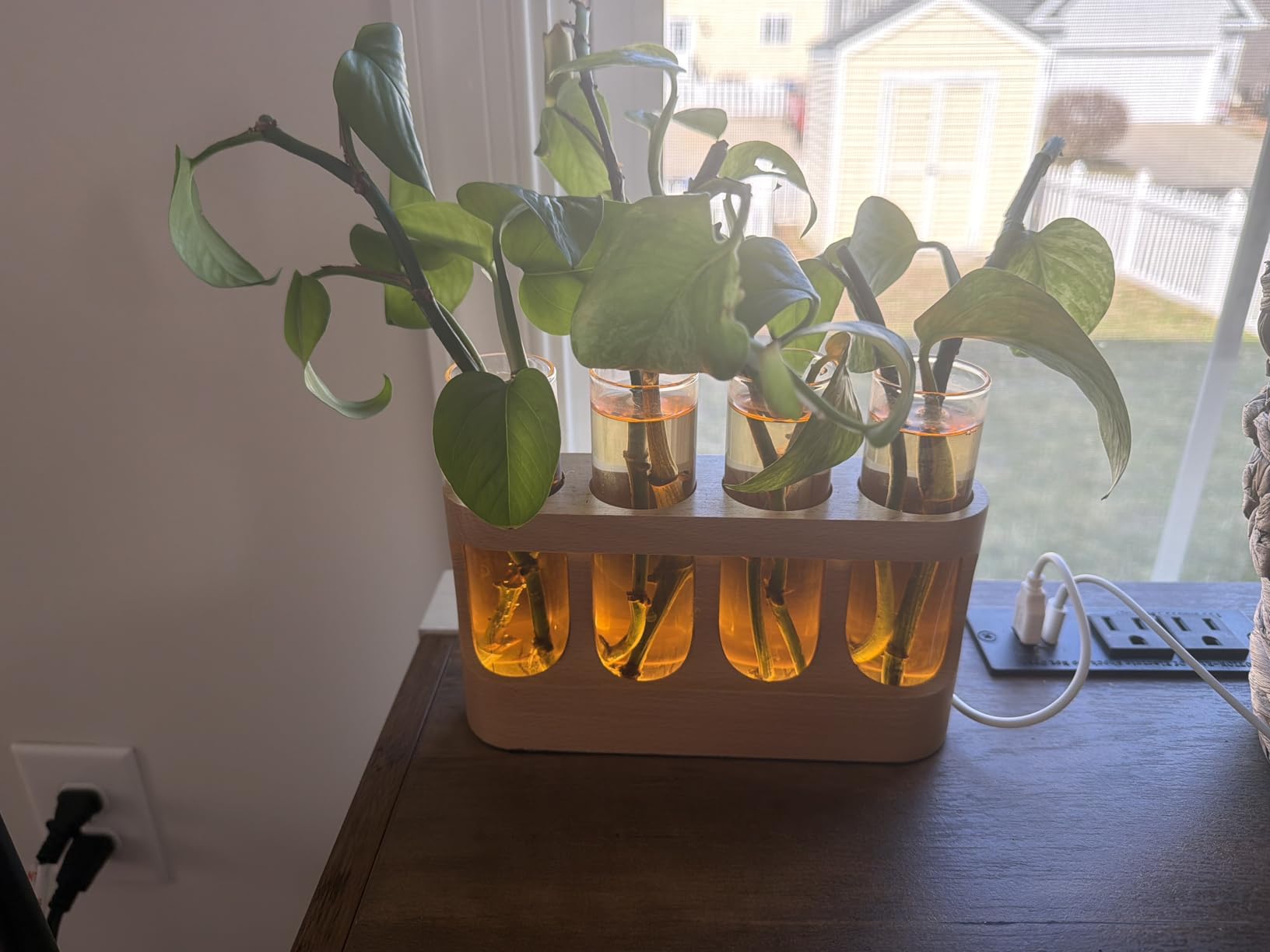 Plant Propagation Station with 9-Speed Adjustable LED Lights, Wooden Stand, 4 Glass Test Tubes for Hydroponic Plants, Unique Gift for Plant Lovers customer photo 1