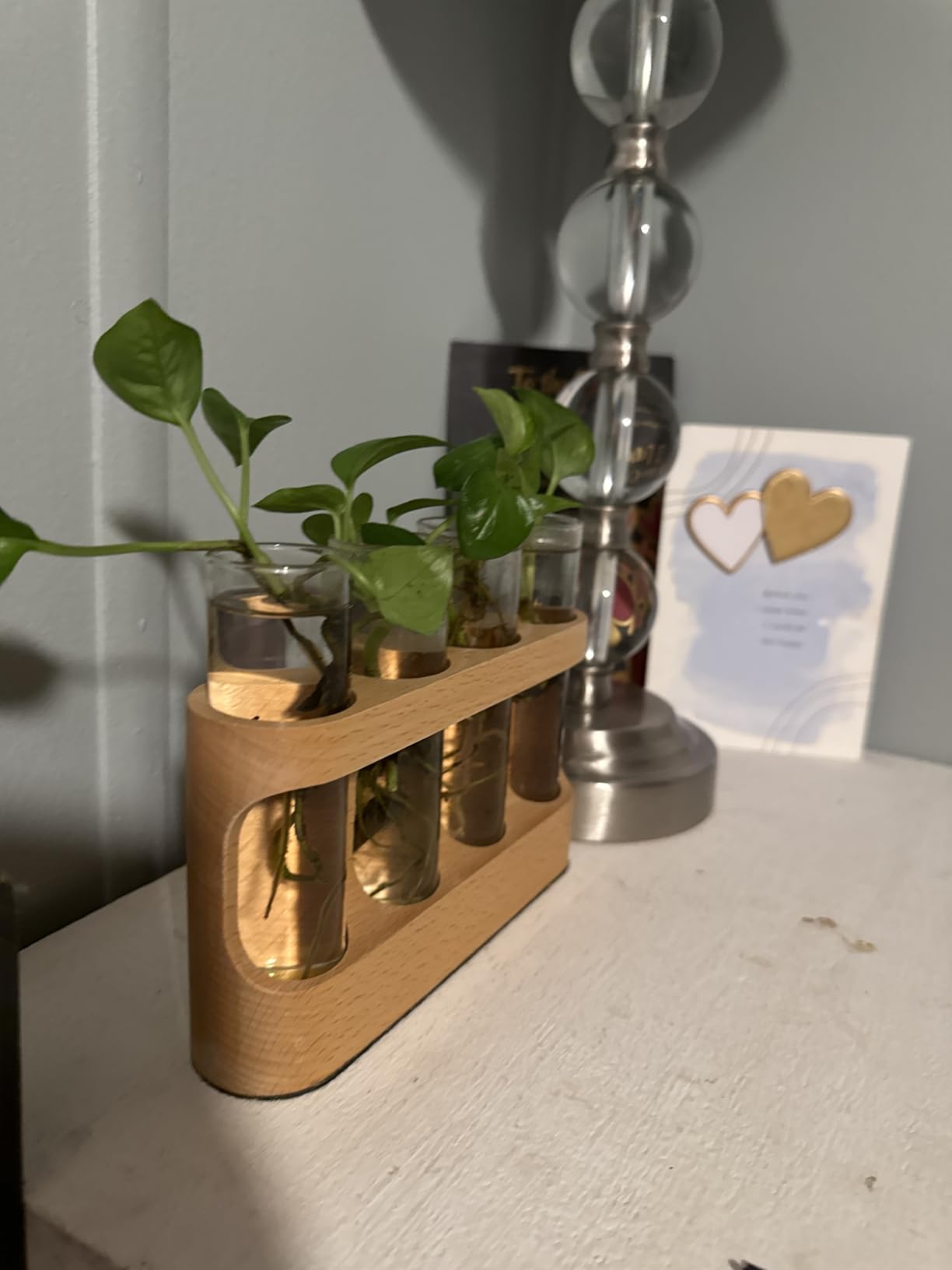 Plant Propagation Station with 9-Speed Adjustable LED Lights, Wooden Stand, 4 Glass Test Tubes for Hydroponic Plants, Unique Gift for Plant Lovers customer photo 2