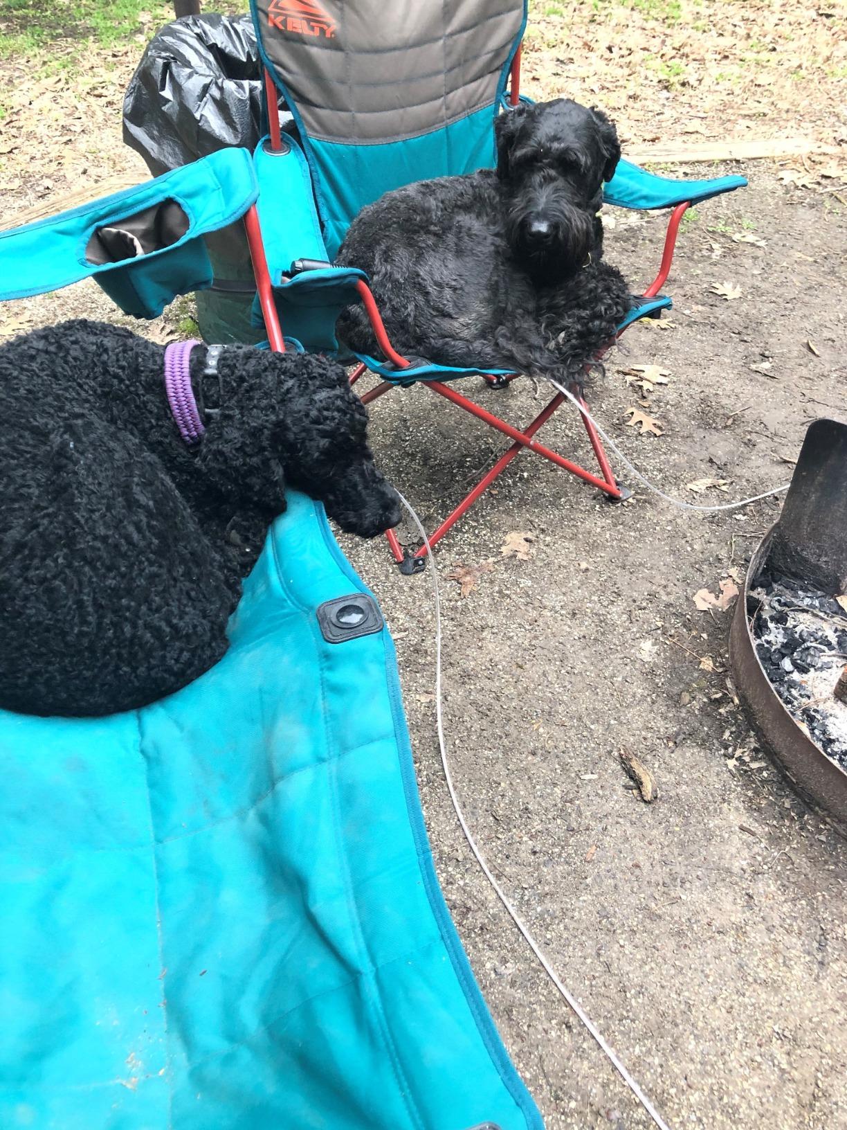 Kelty Essential Camping Chair, Folding Camp Seat for Festivals, Beach Days, Tailgating (Bungee Cord) customer photo 1