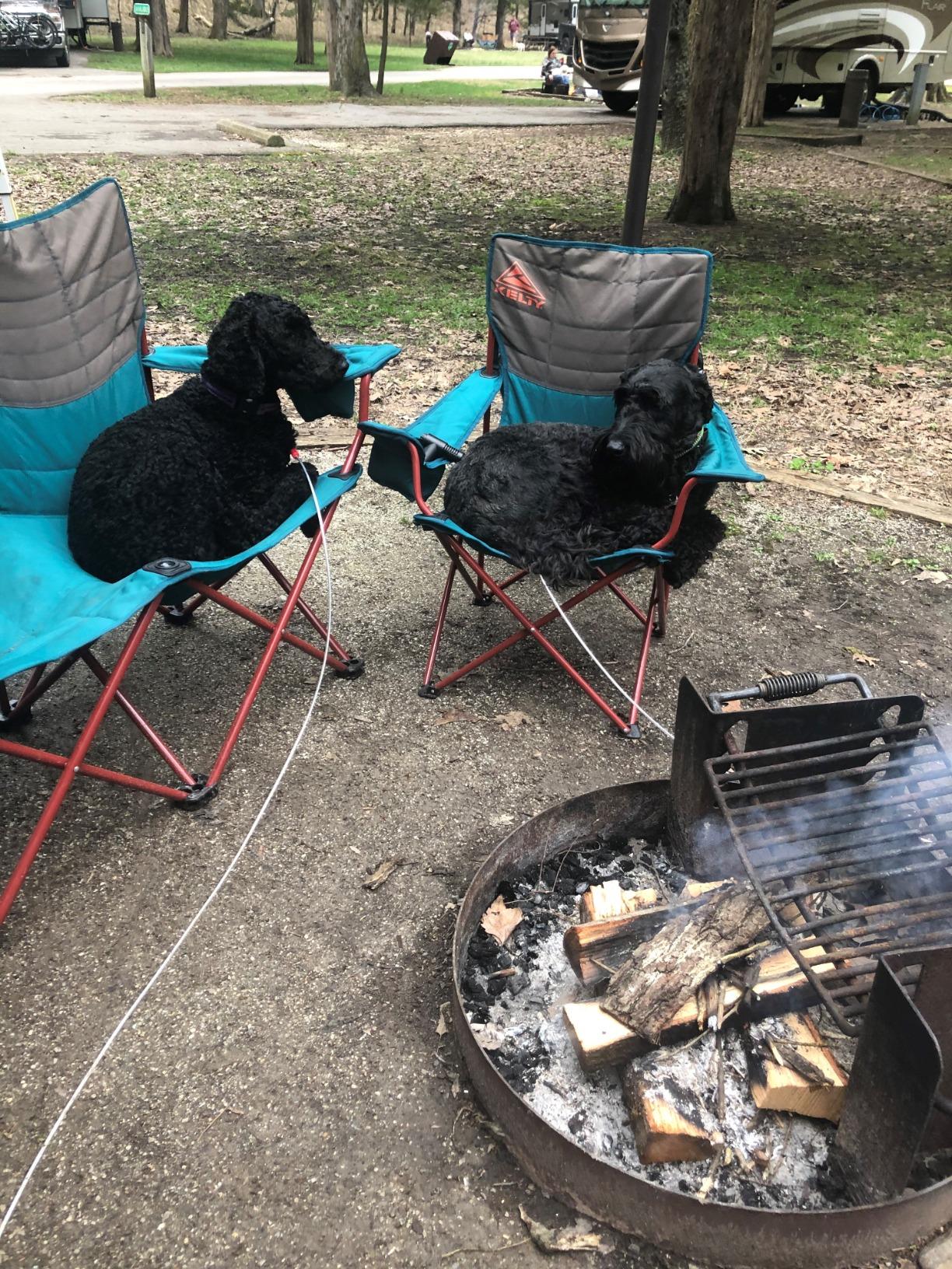 Kelty Essential Camping Chair, Folding Camp Seat for Festivals, Beach Days, Tailgating (Bungee Cord) customer photo 2