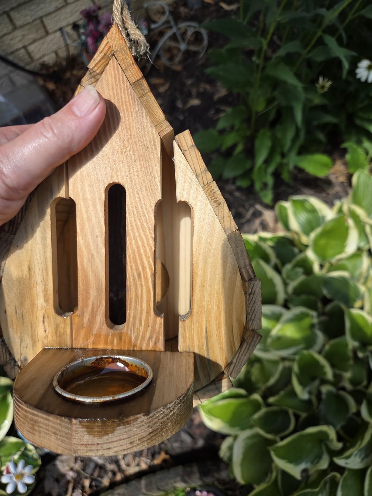 Wooden Butterfly House and Feeder, Hanging Butterfly House for Garden, Natural Butterfly Habitat with Butterfly Puddler for Outside Butterflies, Moths - Backdoor, Easy to Clean customer photo 1