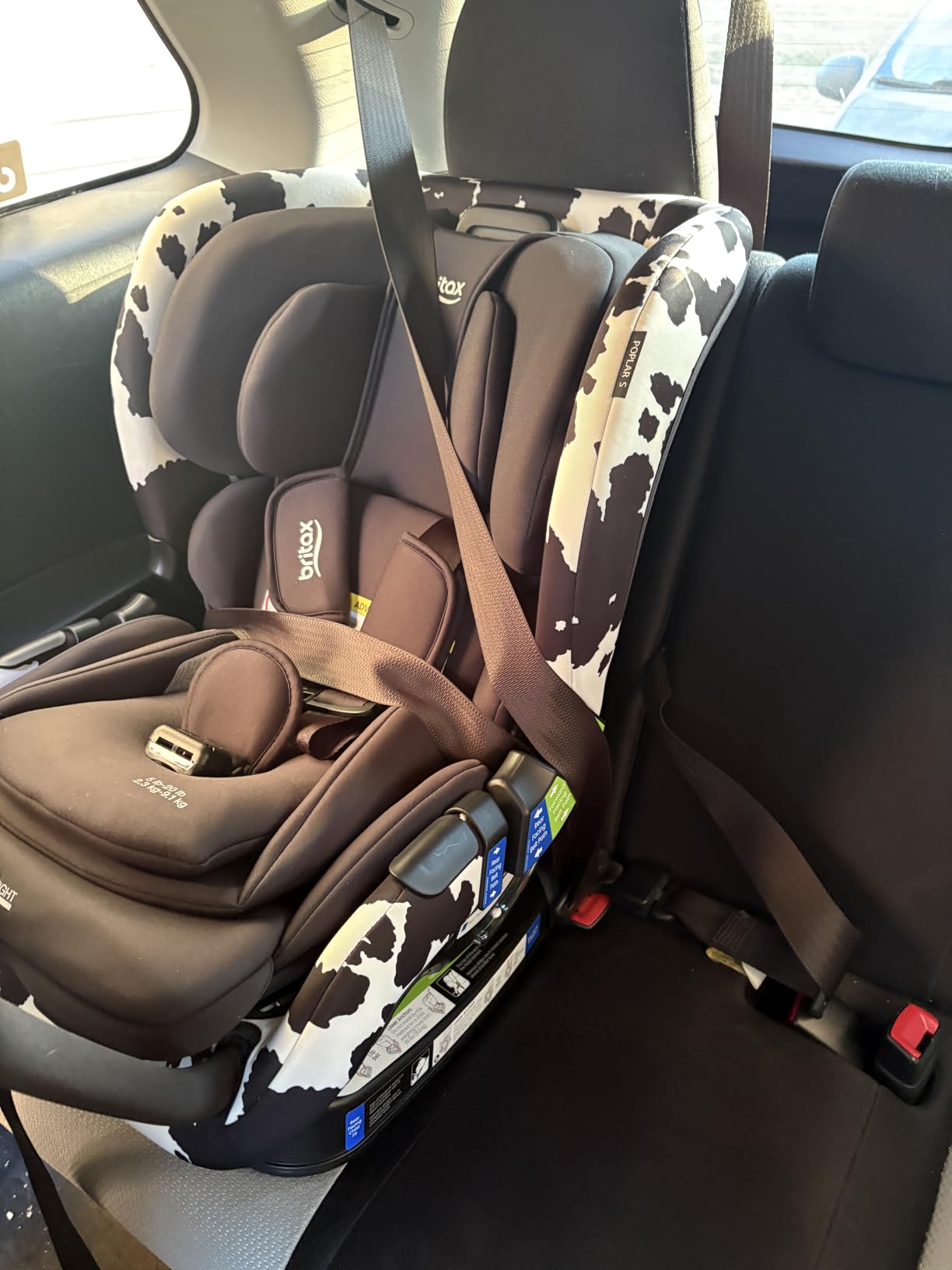 Britax Poplar Convertible Car Seat, 2-in-1 Car Seat Extended Rear Facing Up to 50 lbs, 17
