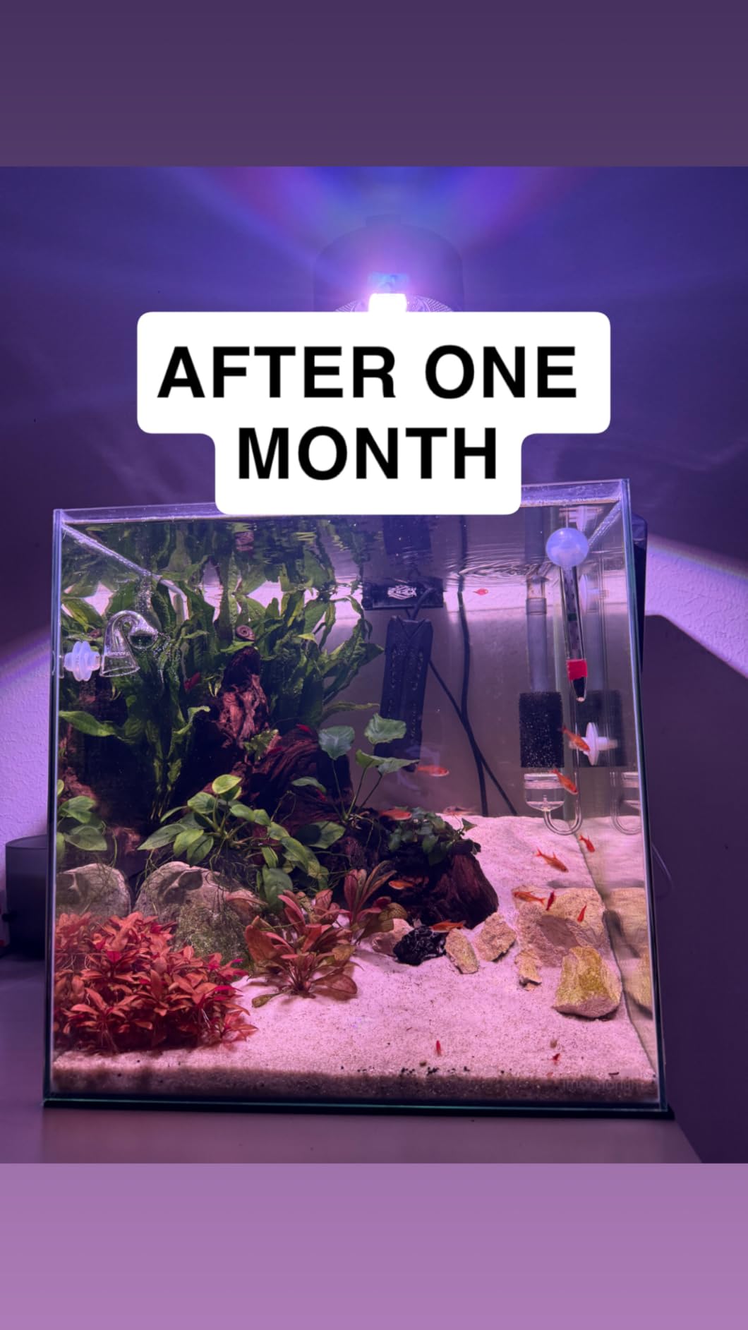 FZONE Desktop Aquarium CO2 System, CO2 Regulator with 45g Disposable CO2 Cartridge, Compatible with 5/8