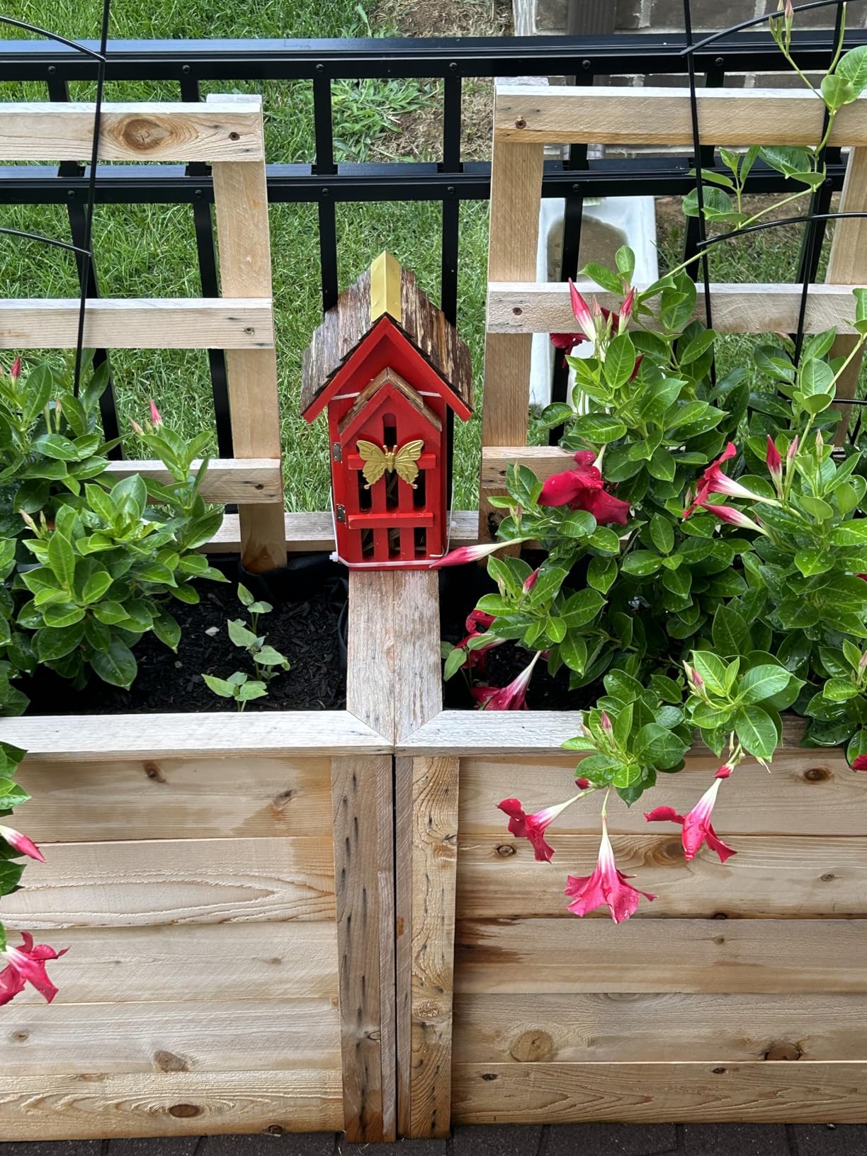 Shingle Roof Butterfly House for Outdoor, Insect House, Vintage Style Cedar Wood Bee House for Garden Outside, Open Door for Easy Cleaning Conservation.Shelter Hotel with Hooks for Hanging (Yellow) customer photo 1