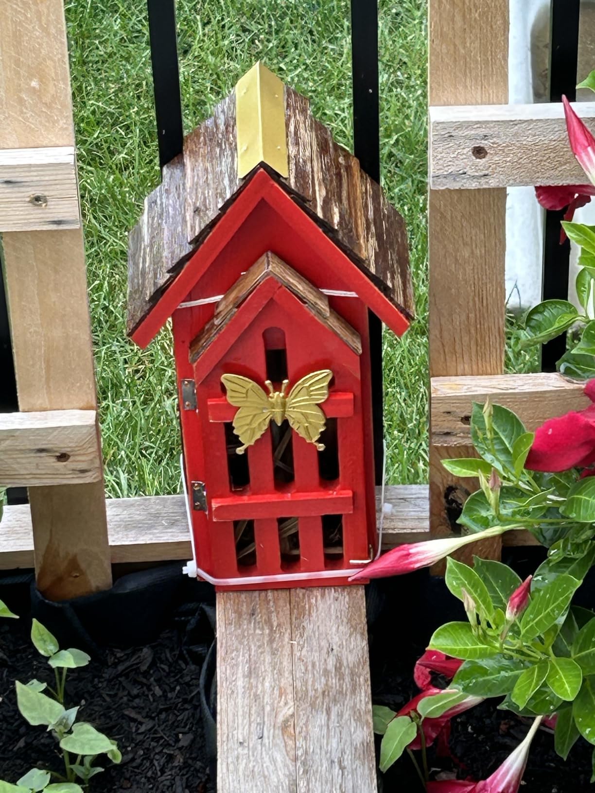 Shingle Roof Butterfly House for Outdoor, Insect House, Vintage Style Cedar Wood Bee House for Garden Outside, Open Door for Easy Cleaning Conservation.Shelter Hotel with Hooks for Hanging (Yellow) customer photo 2