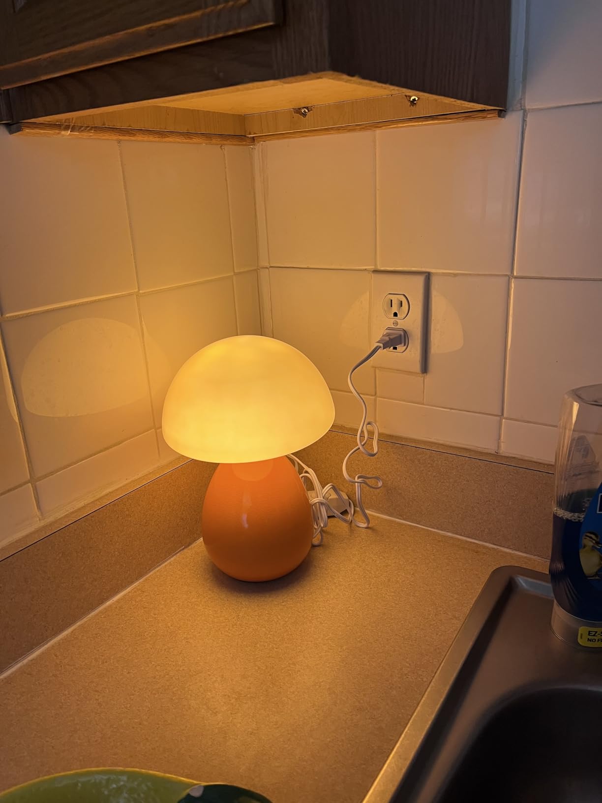 Mushroom Lamp Small Vintage Table Light, Mini Modern Lamp Bedside Nightstand LED, Small Light Dimmable for Bedroom, Living Room, Ceramic Base Glass Led Home Decor for Woman Gifts customer photo 2
