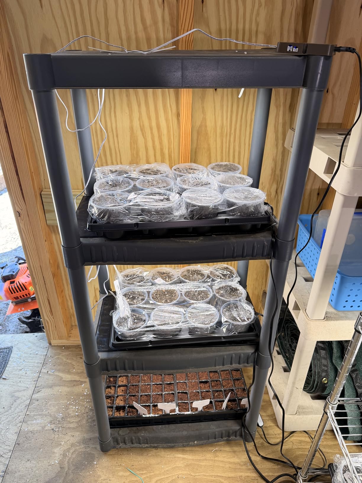 3Panel Grow Lights for Indoor Plants, Seed Starting, Veg, Pot Plants, Bonsai with Timer 4/8/12/16/20H, Ultra-Thin Under Cabinet & Shelf Full Spectrum LED Plant Growing Lamps, Multi-Panels Free Connect customer photo 2