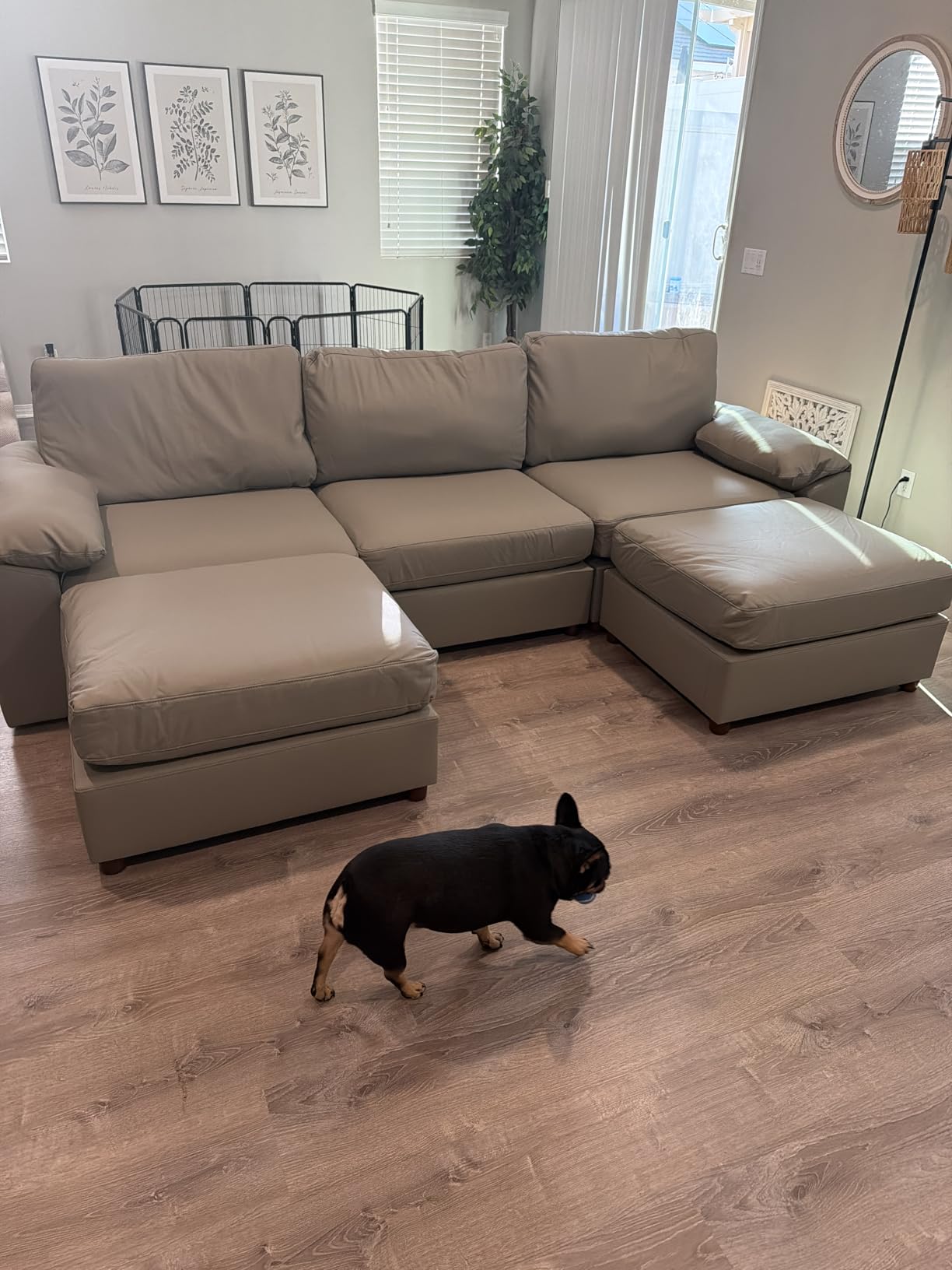 EASE MOOSE Oversized Modular Sectional Sofa,Leather Sectional Couch with Deep Seat,Extra Large U Shaped Couch,Faux Leather Material Sofa Modern Comfy Scratch Resistant,Beige customer photo 2