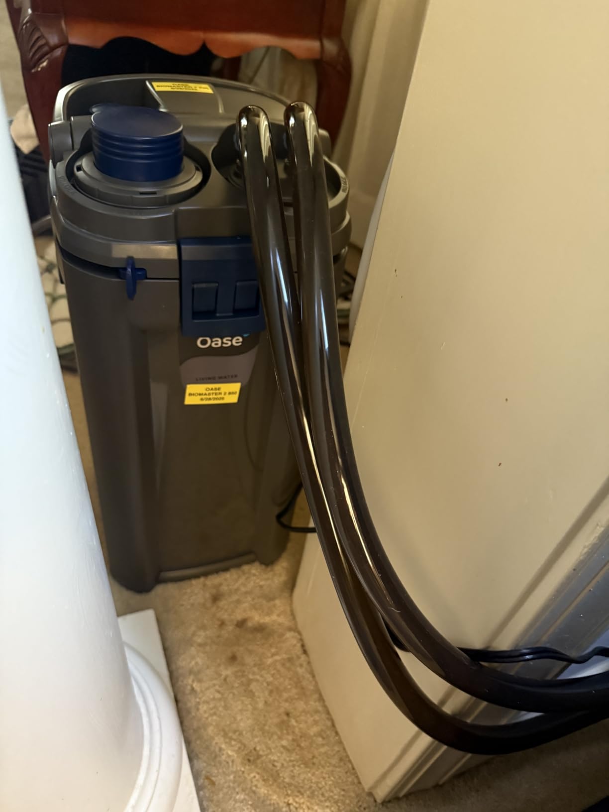 OASE BioMaster 2 250 Canister Filter for Aquariums - Up to 70 Gallons customer photo 2