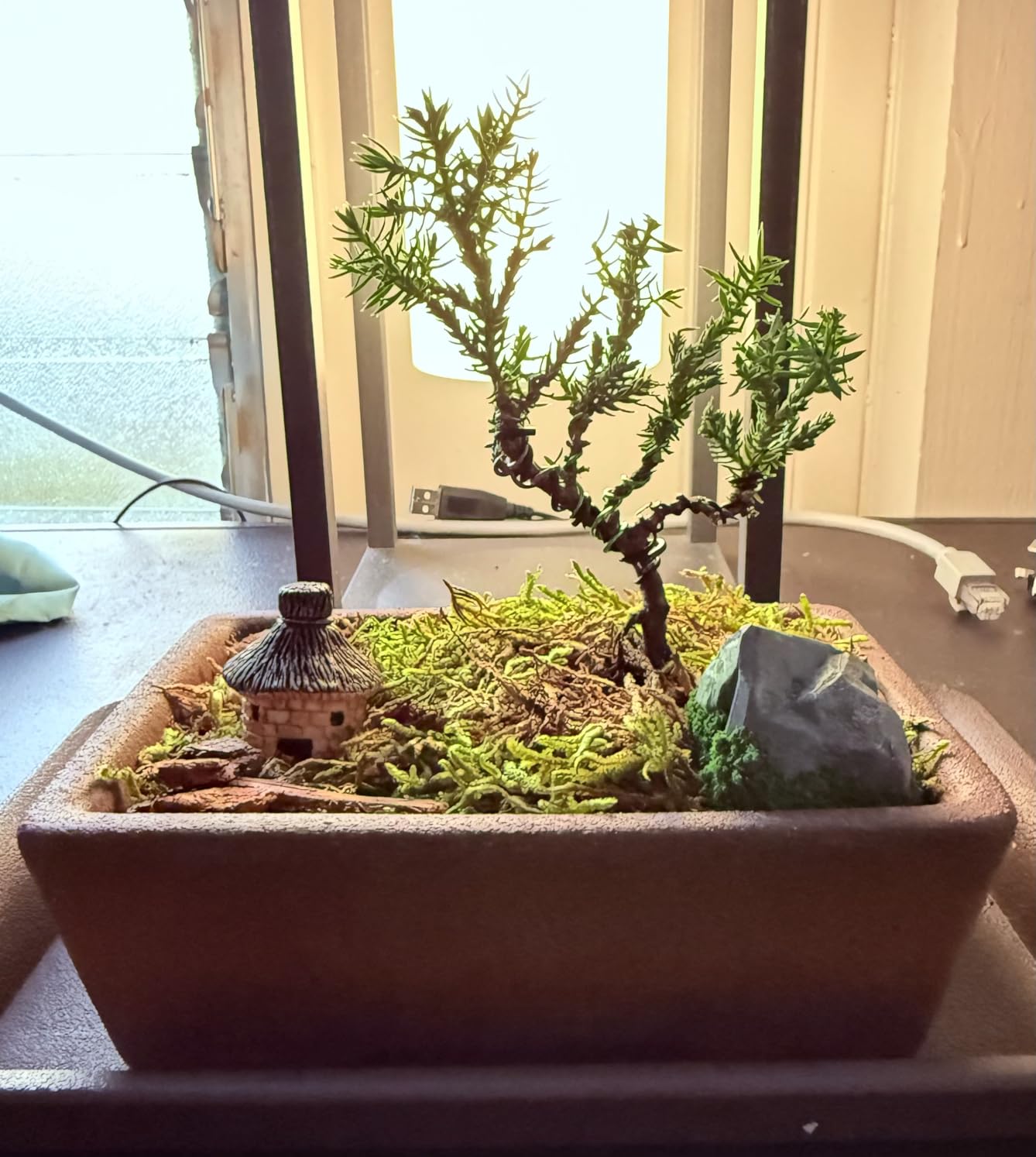 2 Pack Rectangle Bonsai Pots, 6