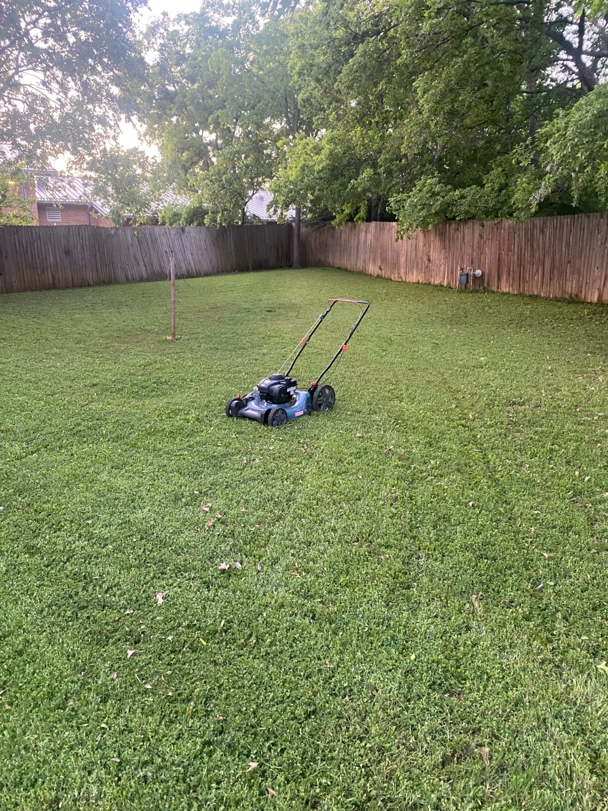 SENIX 144cc Gas Lawn Mower, 21 inch 2-in-1 Push with Mulching and Side Discharge, 4-Cycle Engine, 6 Position Cutting Height Adjustment for Yard and Garden customer photo 1
