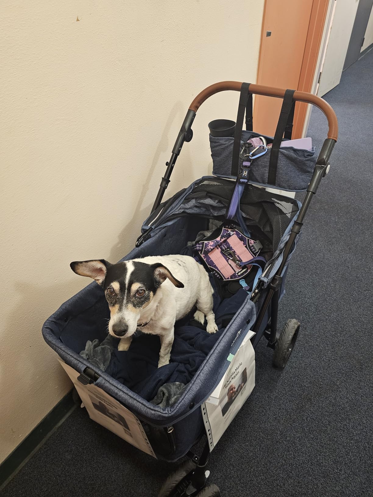 Dog Stroller for Large & Medium Dogs (20-132 lbs), Pet Stroller for 2 Small Dogs, Extra Large Heavy Duty, Foldable & Ventilated, Pink or Navy customer photo 2