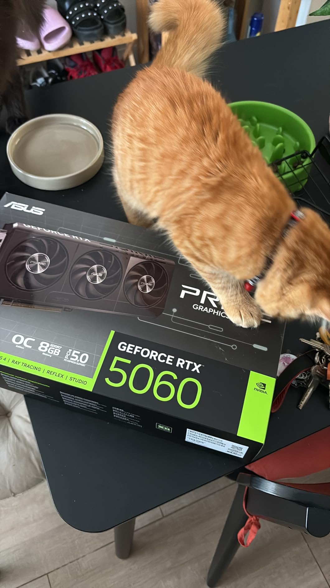 ASUS The SFF-Ready Prime GeForce RTX 5060 8GB GDDR7 OC Edition Graphics Card customer photo 1