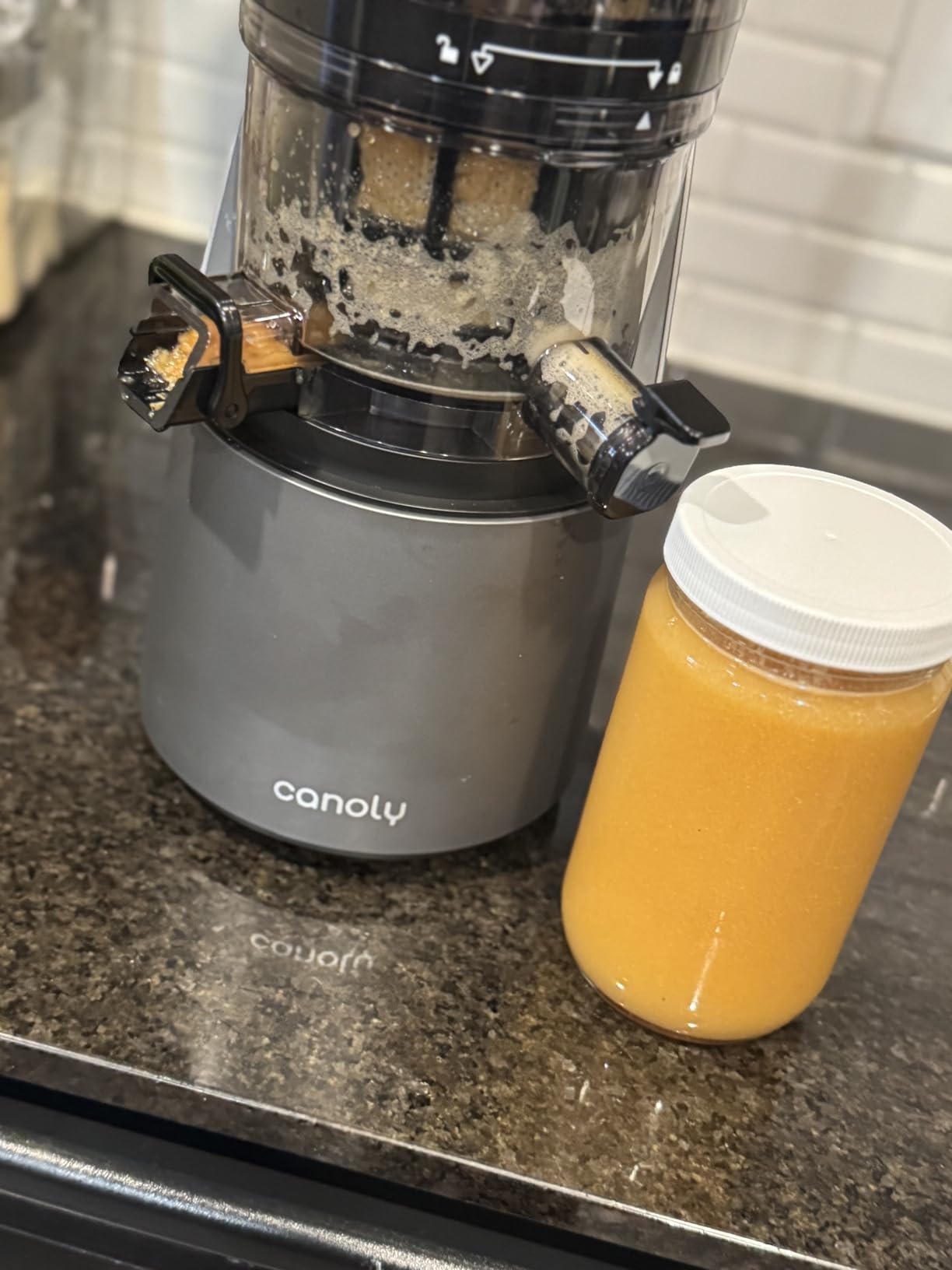 Canoly C16 Cold Press Juicer, 6