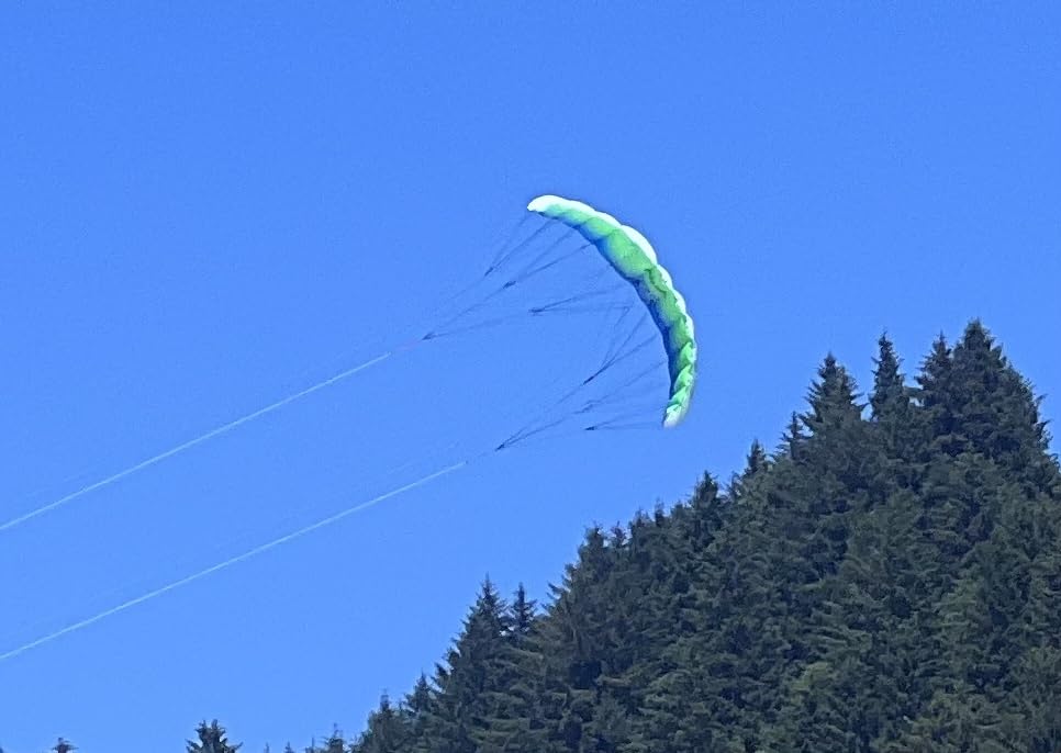 Prism Kite Technology Synapse 140 Dual-line Parafoil Kite - an Ideal Entry Level Kite for Kids and Adults customer photo 1